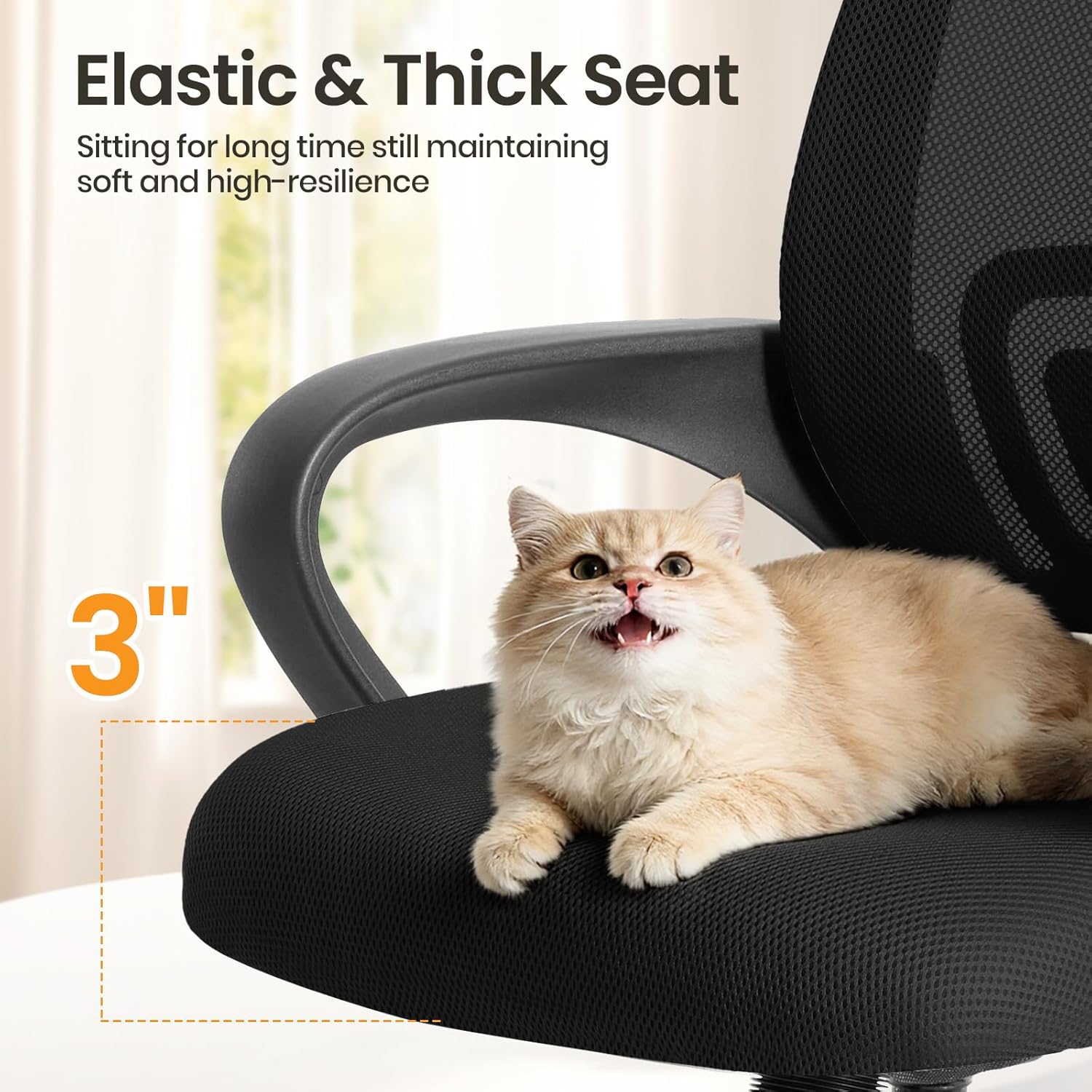 OLIXIS Office Desk Chair - Ergonomic Mid Back with Lumbar Support & Rocking Mode, Height Adjustable with Fixed Armrest, for Home, Computer, Gaming, Conference, Meeting, 360° Swivel, Black, 2 Pack - Image 7