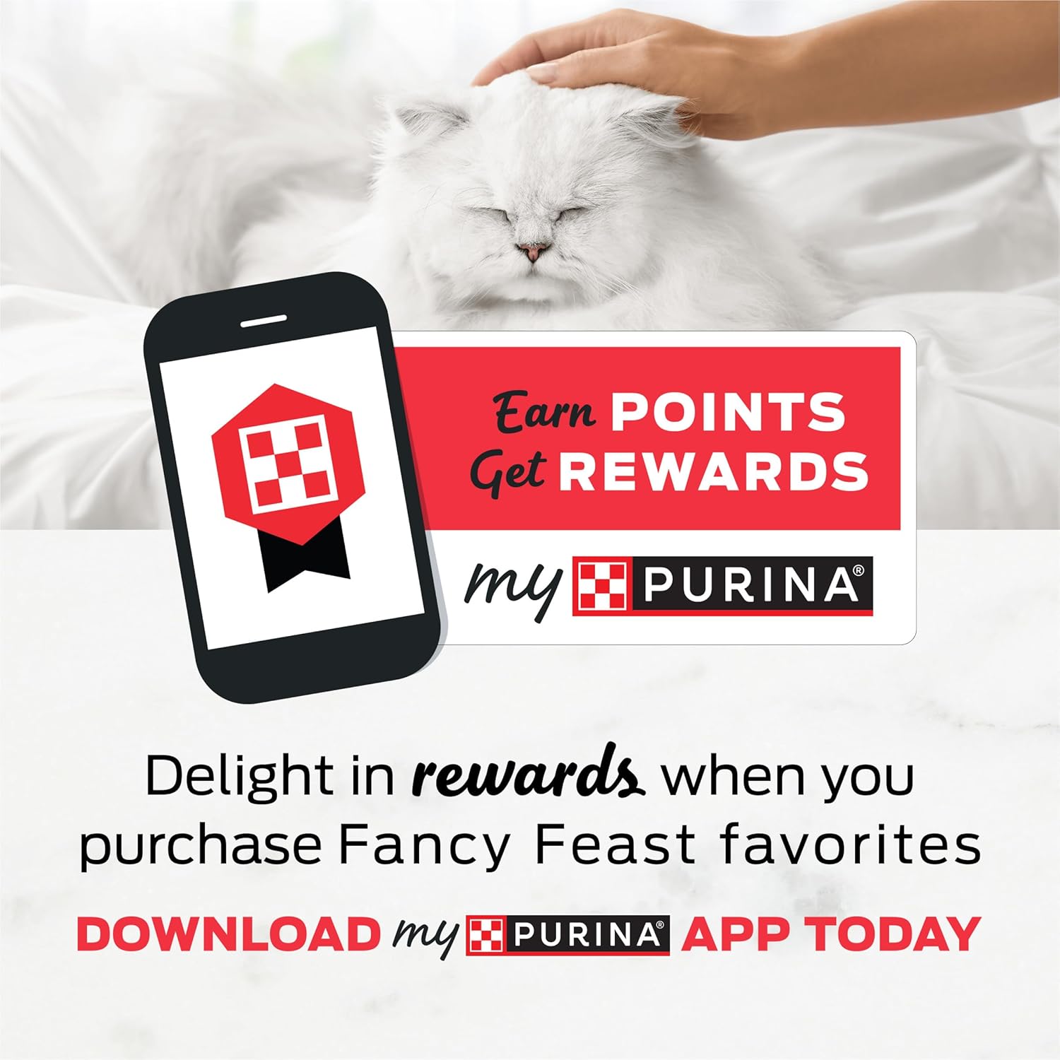Fancy Feast Purina Filet Mignon Flavor with Real Seafood & Shrimp Dry Cat Food (7 Pound (Pack of 1)) - Image 12