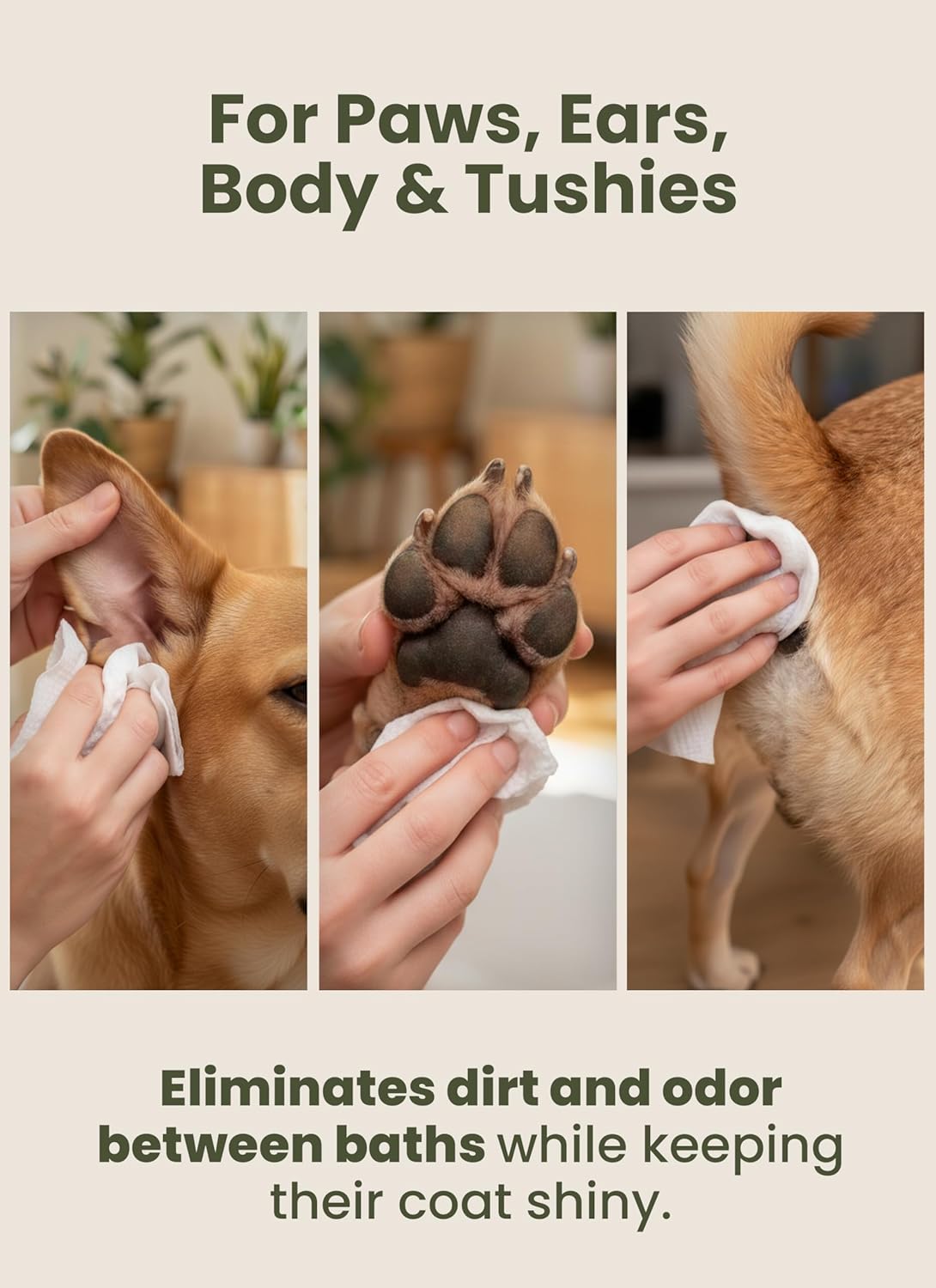 Pogi’s Dog Grooming Wipes – Hypoallergenic Pet Wipes for Paws, Body & Butt – Cleaning & Hydrating, Fragrance Free, 100 Count - Image 7