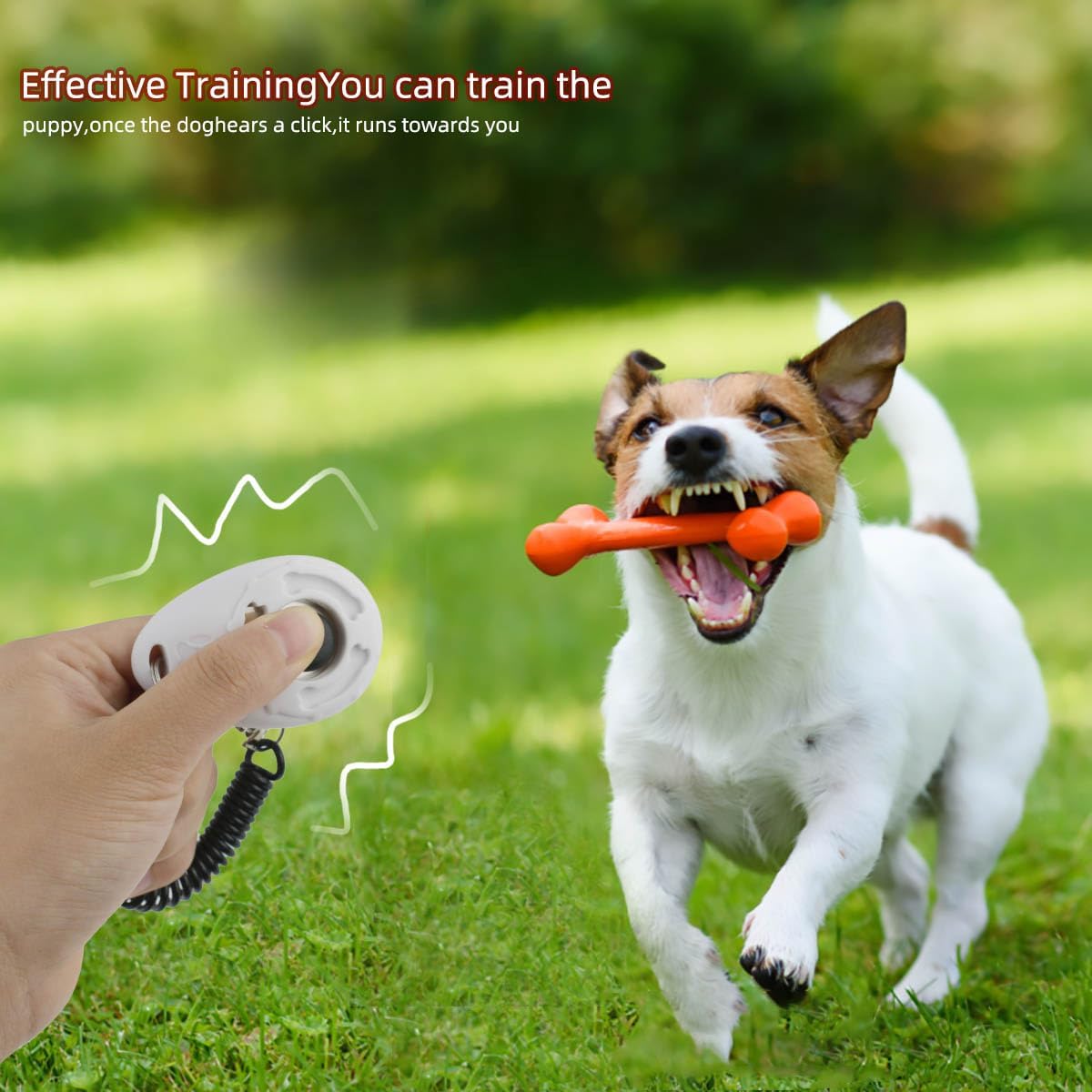 yuntop 4 Pieces Pet Training Clicker with Wrist Strap and Dog Training Treat Pouch Pet Training Clicker for Training Puppy Cats Birds Dog Clicker Training Kit Behavioral (White, Red, Orange, Blue) - Image 6