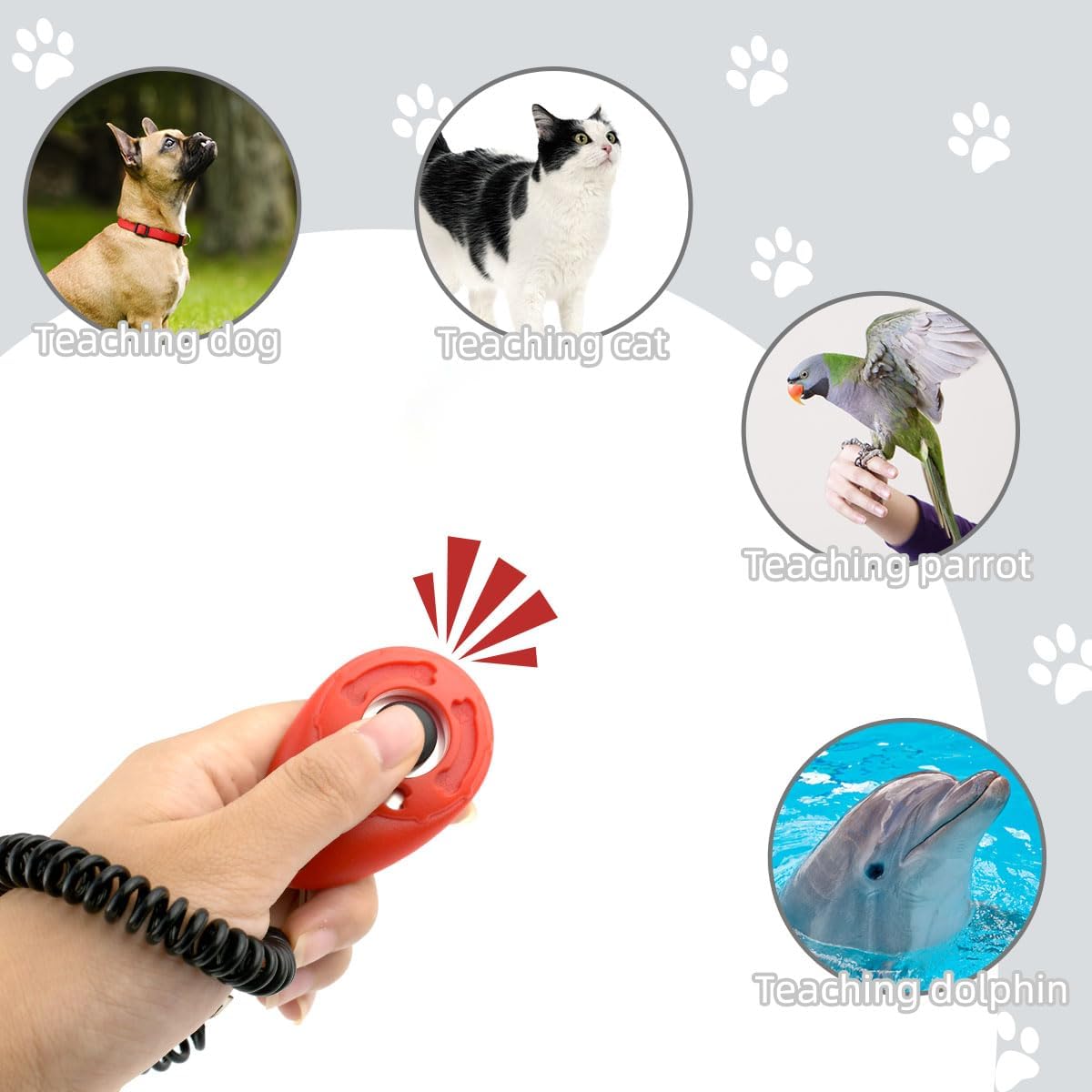 yuntop 4 Pieces Pet Training Clicker with Wrist Strap and Dog Training Treat Pouch Pet Training Clicker for Training Puppy Cats Birds Dog Clicker Training Kit Behavioral (White, Red, Orange, Blue) - Image 5
