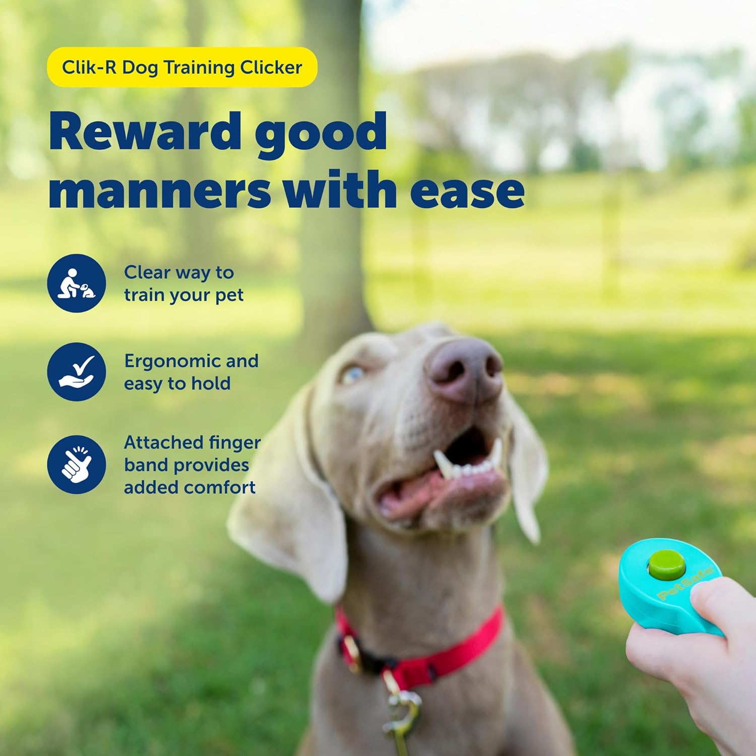 PetSafe Clik-R Training Tool for Pets - Includes Comfortable Finger Strap - Easy to Hold - Train Your Dog to Reward Good Behavior - Image 2