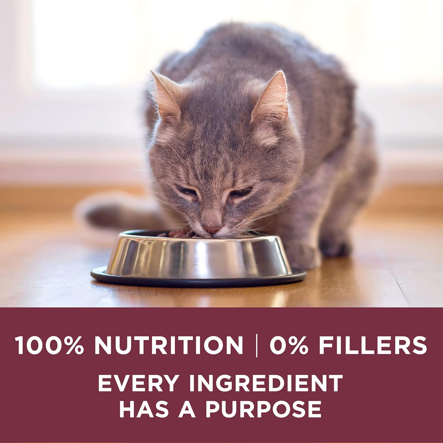 Purina ONE High Protein Dry Cat Food, +Plus Urinary Tract Health Formula - 16 lb. Bag - Image 8