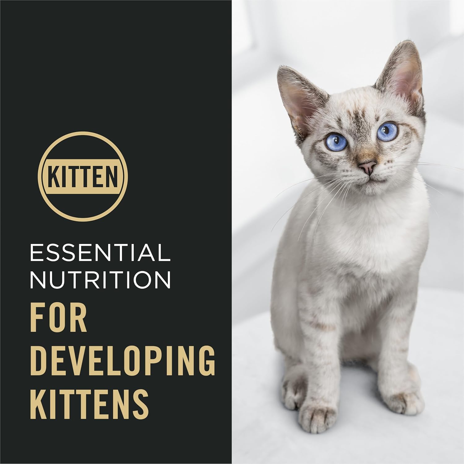 Purina Pro Plan Kitten Dry Food Complete Essentials Chicken and Rice Formula - 3.5 lb. Bag - Image 4