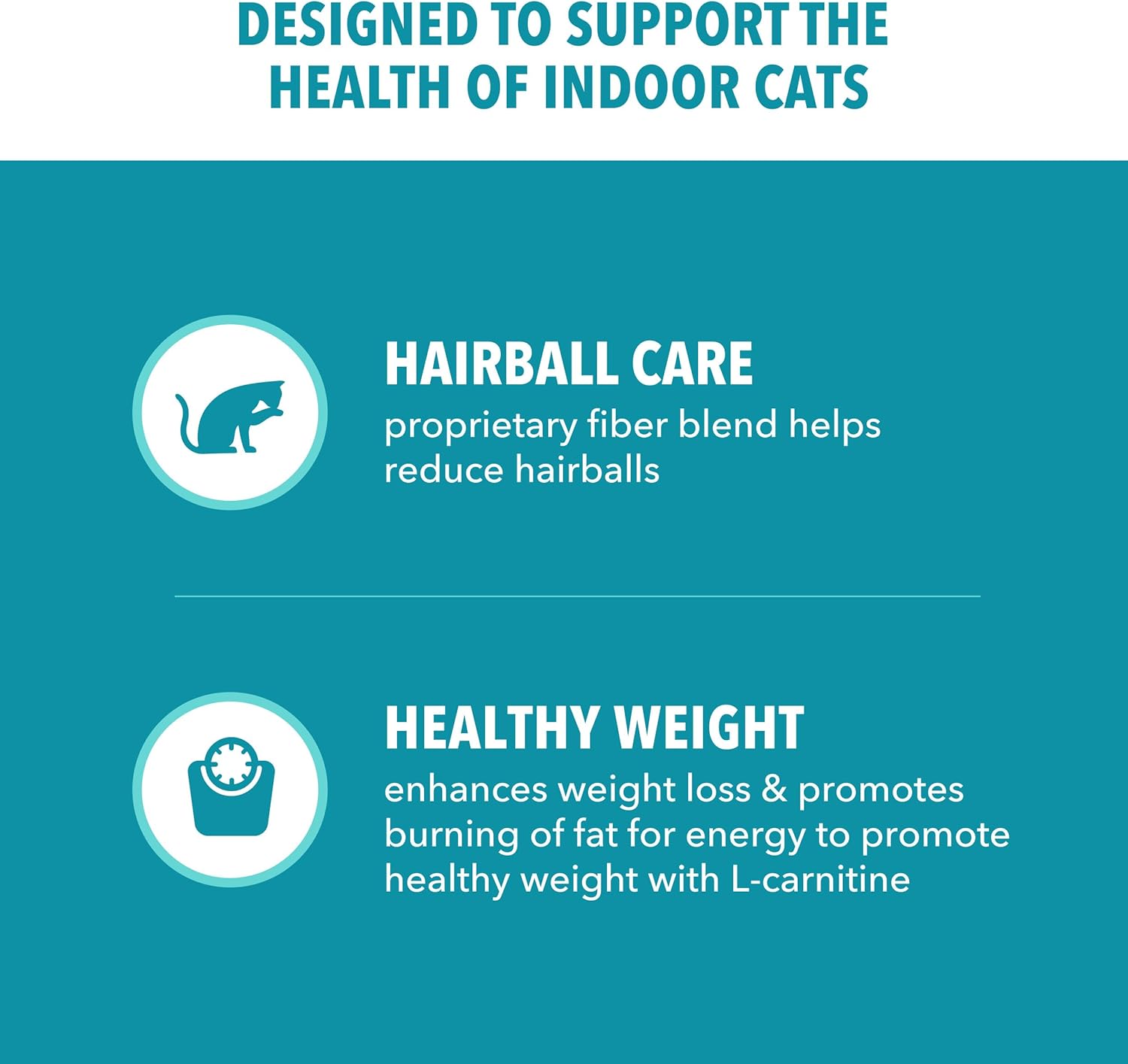 IAMS Proactive Health Dry Cat Food, Indoor Weight and Hairball Care Cat Food Dry Recipe, with Salmon, 16 lb. Bag - Image 3