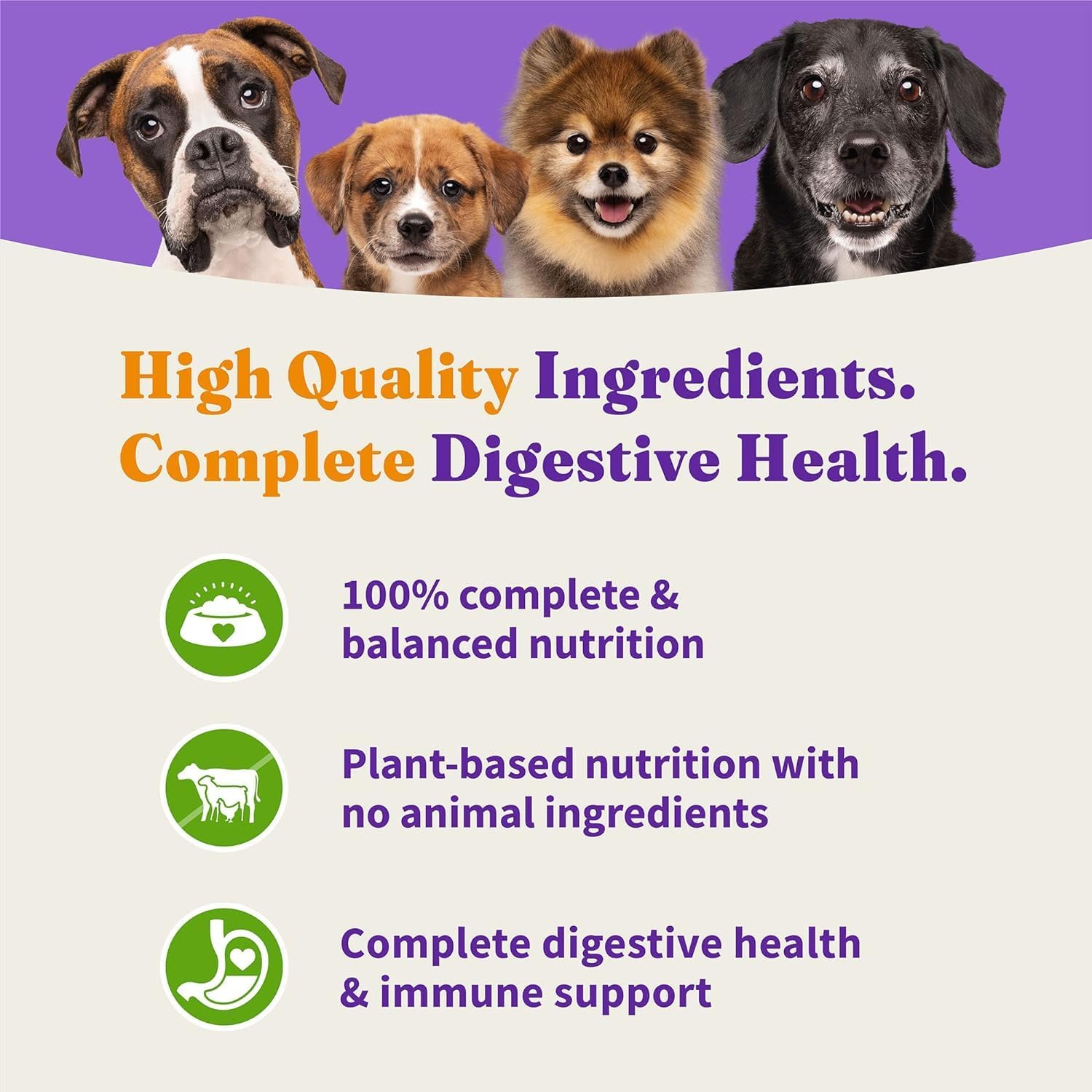 Halo Holistic Adult Dog Vegan Plant-Based Recipe with Superfoods 3.5 lb Bag - Image 6