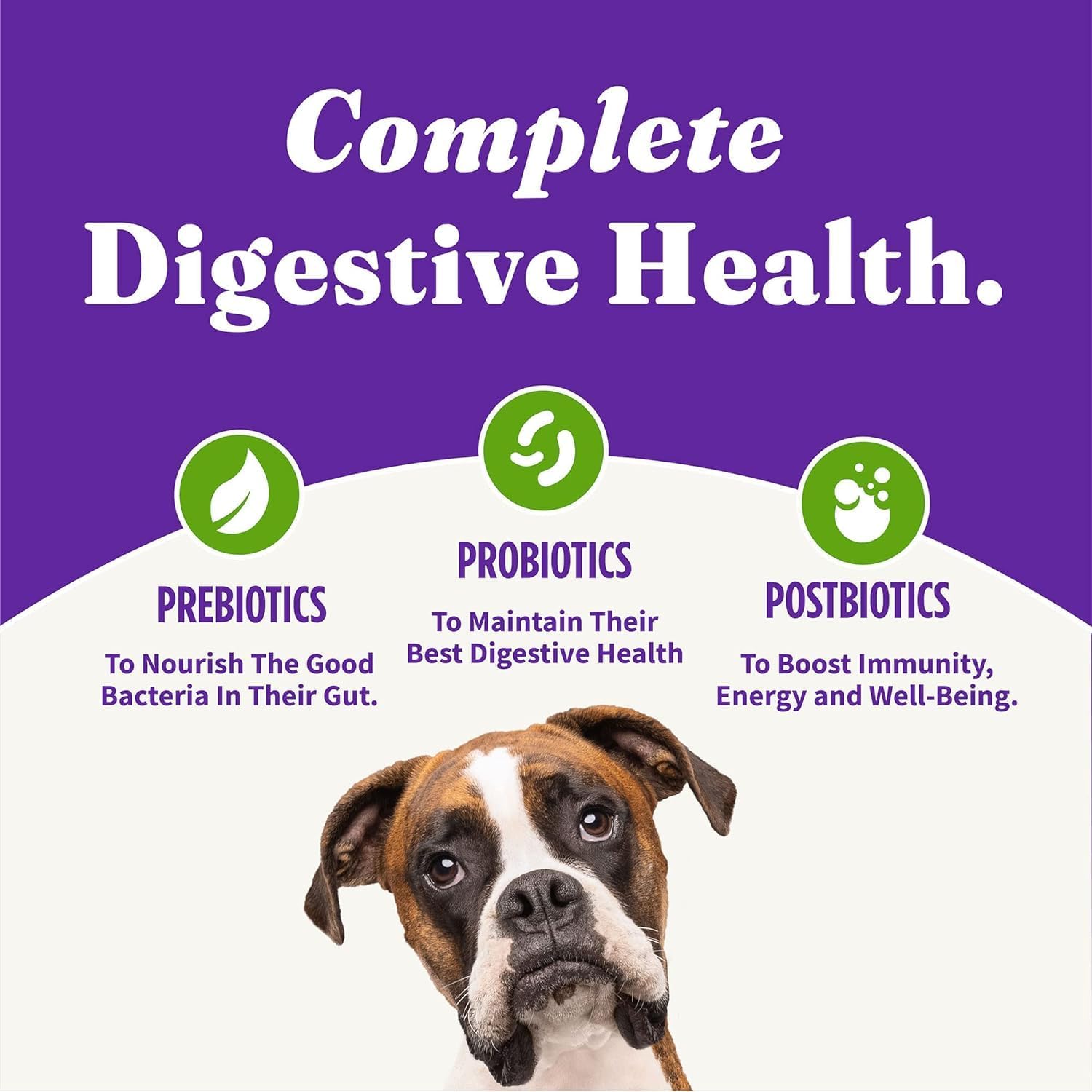 Halo Holistic Adult Dog Vegan Plant-Based Recipe with Superfoods 3.5 lb Bag - Image 8