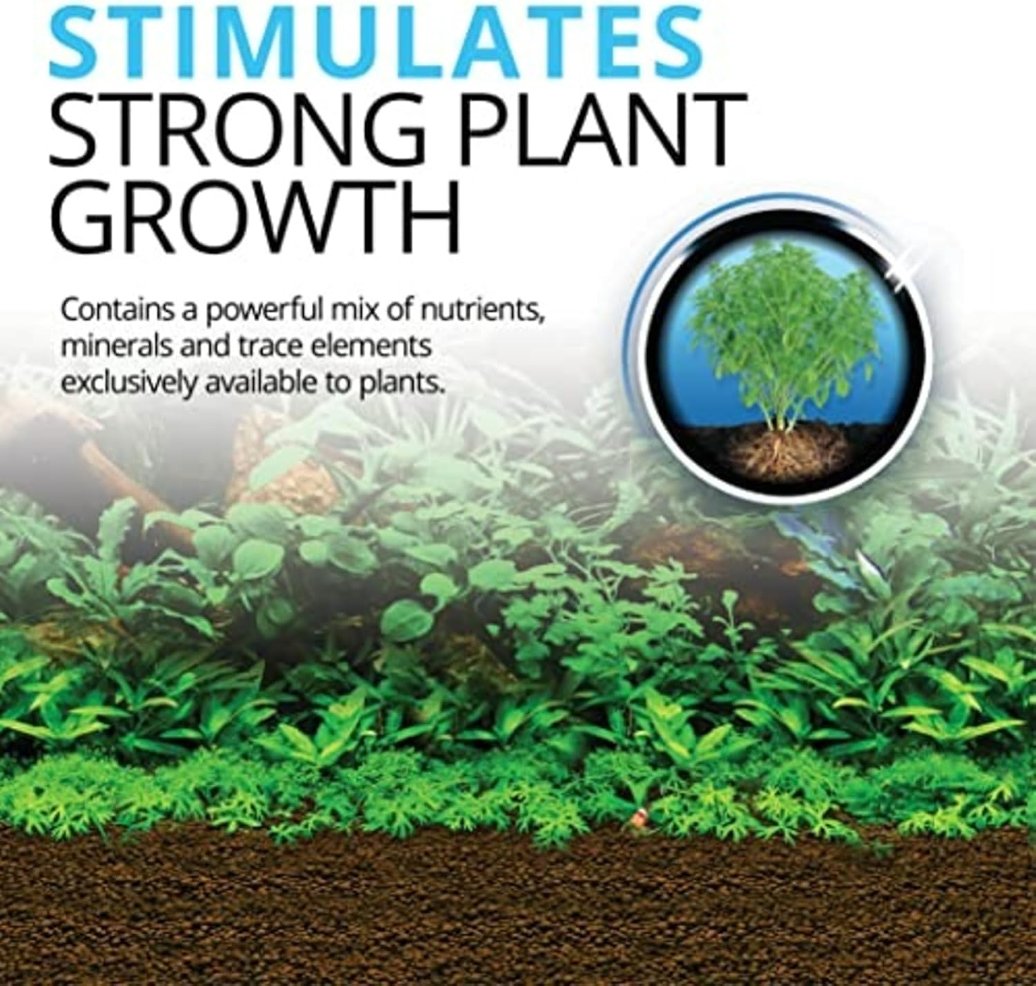 Fluval 12696 Natural Mineral-Rich Volcanic Soil Bio Stratum for Planted Tanks, 4.4 lbs. - Aquarium Substrate for Healthy Plant Development, Growth, and Color - Image 3