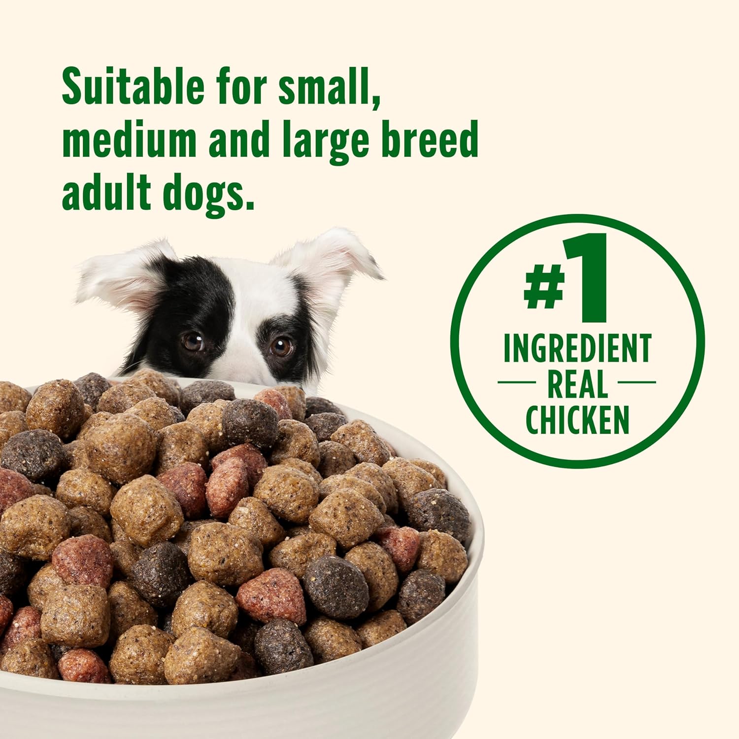 Nutrish Real Chicken & Veggies Recipe Whole Health Blend Dry Dog Food, 28 lb. Bag, Packaging May Vary (Rachael Ray) - Image 6