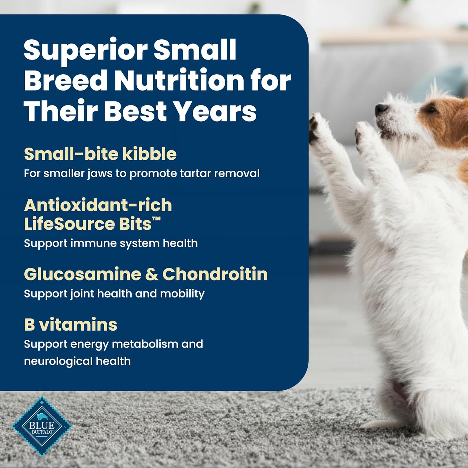 Blue Buffalo Life Protection Formula Chicken & Brown Rice Small Breed Senior Dry Dog Food, Supports Immunity With Antioxidant-Rich LifeSource Bits, Promotes Healthy Muscles, Skin & Coat Health, 5 lbs. - Image 3