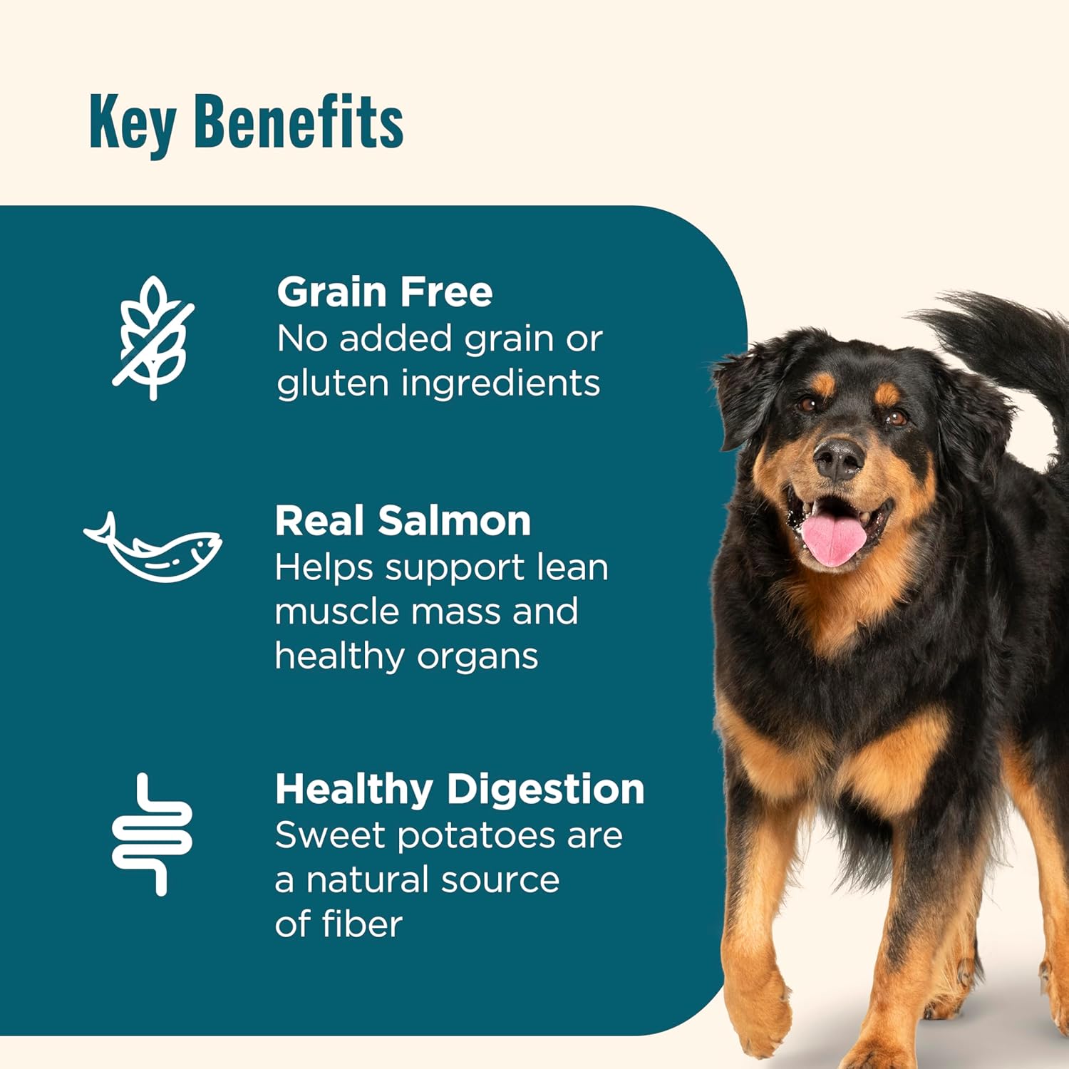 Nutrish Grain Free Dry Dog Food, Salmon & Sweet Potato Recipe, 23 lb. Bag (Rachael Ray) - Image 4
