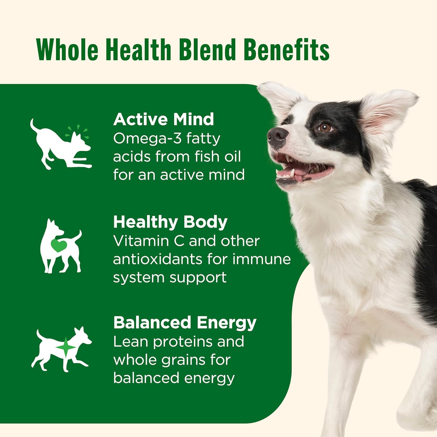 Nutrish Real Chicken & Veggies Recipe Whole Health Blend Dry Dog Food, 28 lb. Bag, Packaging May Vary (Rachael Ray) - Image 4