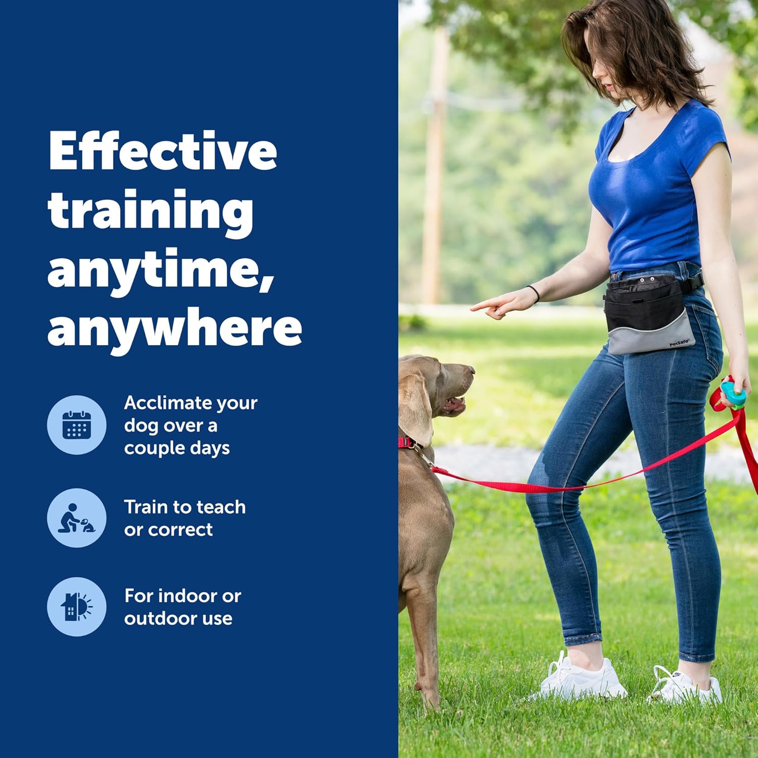 PetSafe Clik-R Training Tool for Pets - Includes Comfortable Finger Strap - Easy to Hold - Train Your Dog to Reward Good Behavior - Image 5