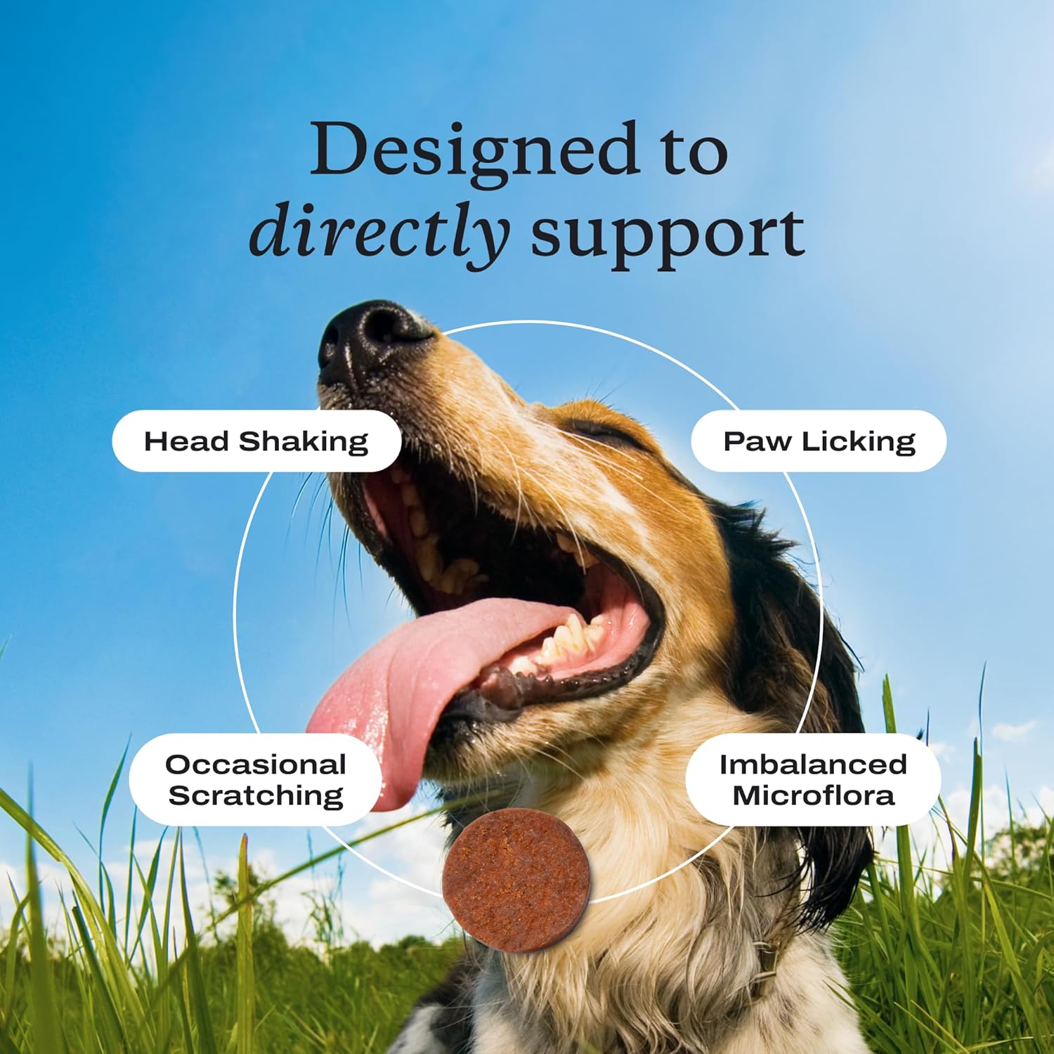 PetLab Co. Allergy & Immune Probiotics for Dogs, Support Seasonal Allergies, Gut & Digestive Health - Pork Flavor - 30 Soft Chews - Packaging May Vary - Image 2