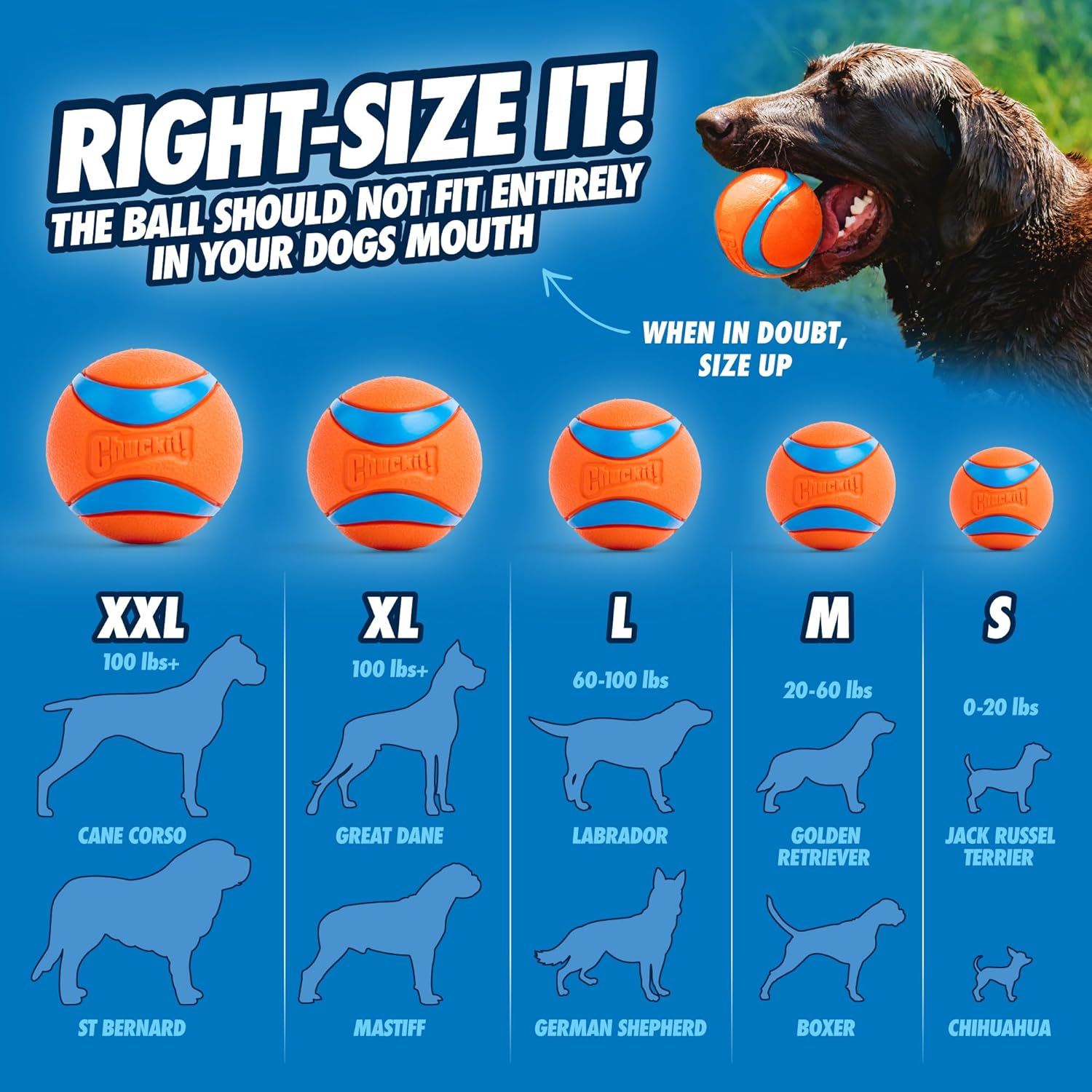 Chuckit! Ultra Ball Dog Toy - Medium Bouncy Fetch Balls For Dogs 20-60 lbs - Made from Durable Rubber - Floating Water Pet Toys - Size Medium - 2.5-inch Diameter - Pack of 2 - Image 5