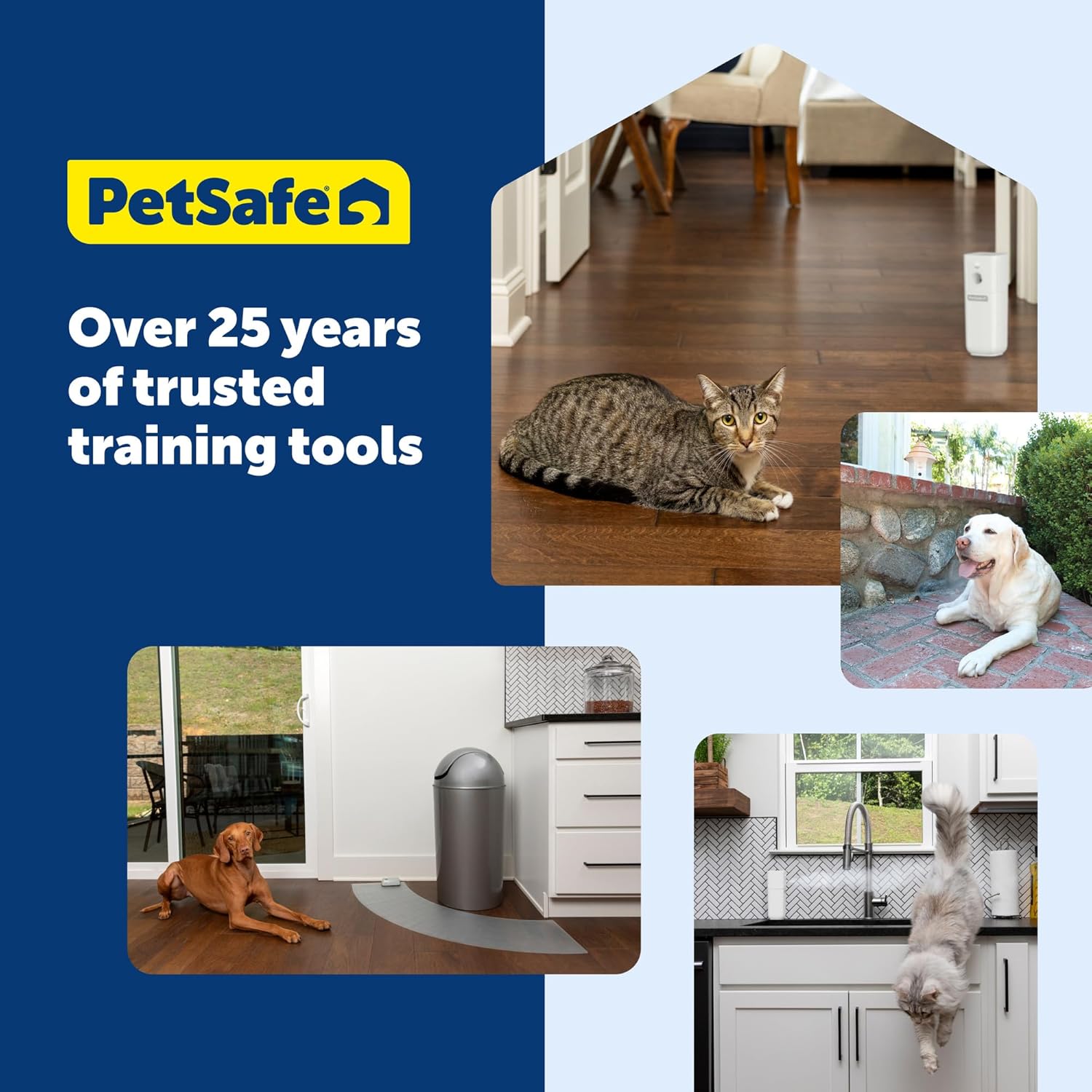 PetSafe Clik-R Training Tool for Pets - Includes Comfortable Finger Strap - Easy to Hold - Train Your Dog to Reward Good Behavior - Image 7