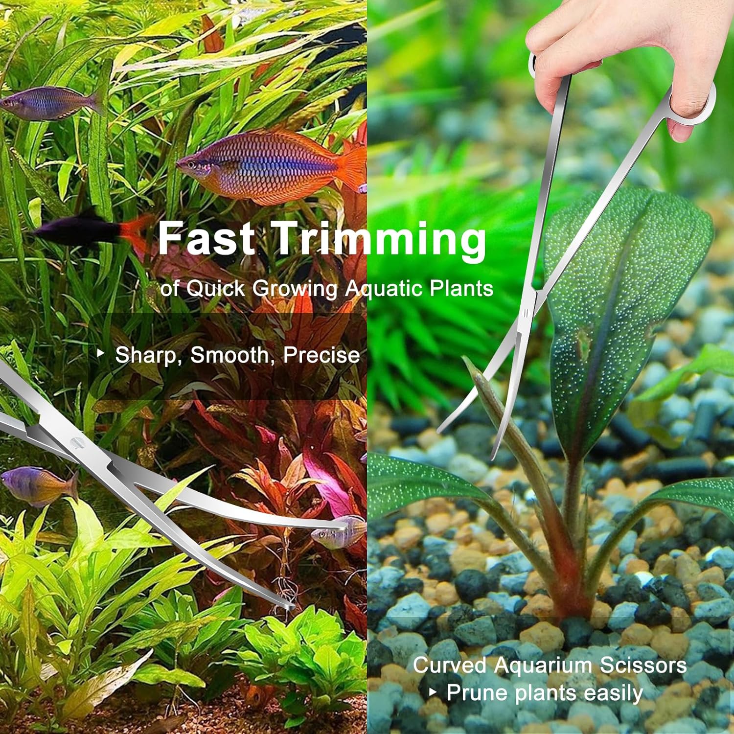 4Pcs Aquascaping Tools, Jeimier Aquascape Kit, Long and Strong Aquarium Tweezers, Scissors, Algae Scraper, Aquarium Plant Tools, Fish Tank Plant Trimming Kit - Image 4