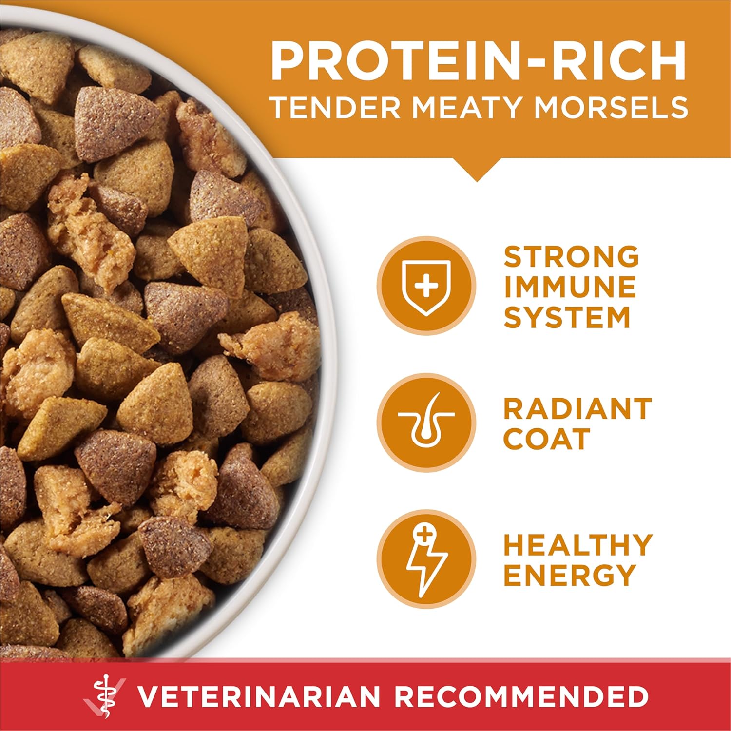 Purina ONE Chicken and Rice Formula Dry Dog Food - 31.1 lb. Bag - Image 6