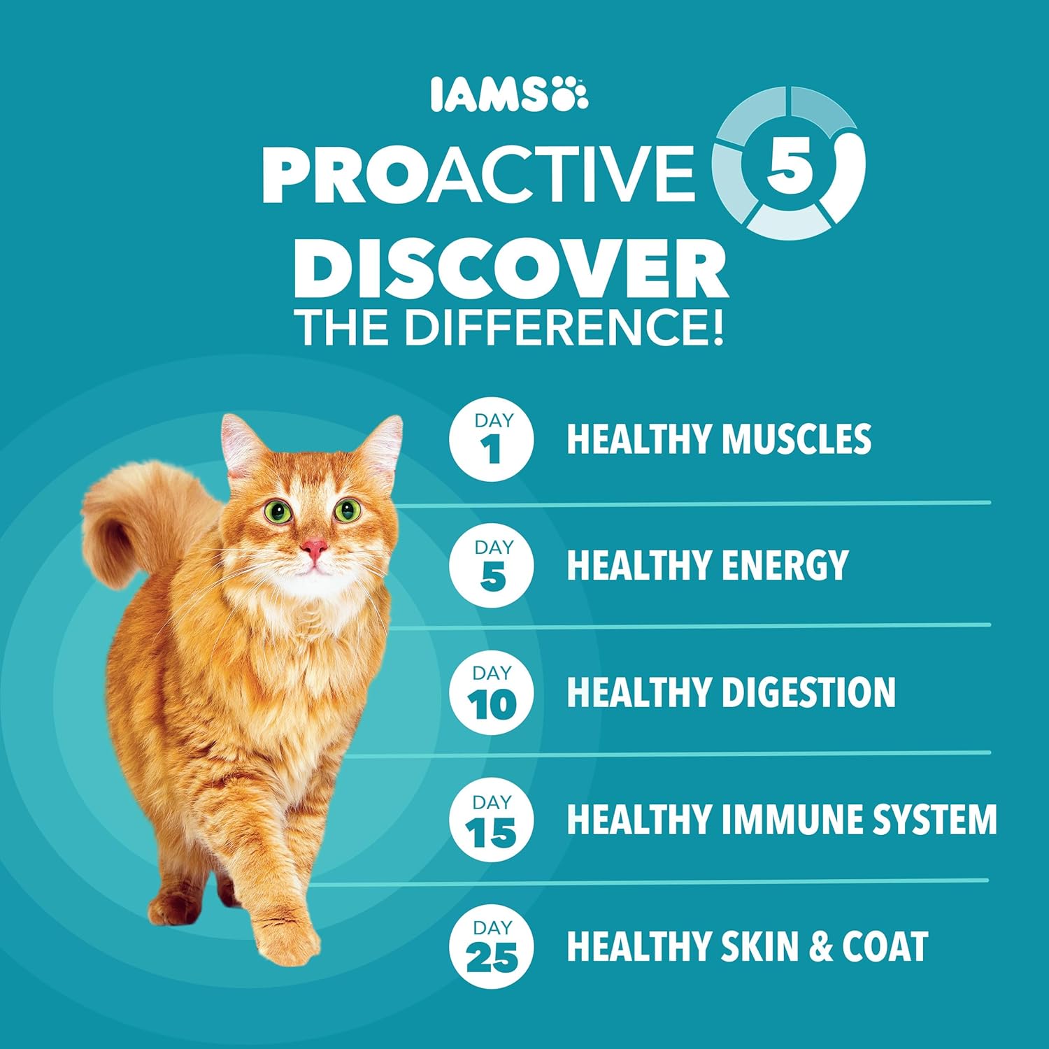 IAMS Proactive Health Dry Cat Food, Indoor Weight and Hairball Care Cat Food Dry Recipe, with Salmon, 16 lb. Bag - Image 4
