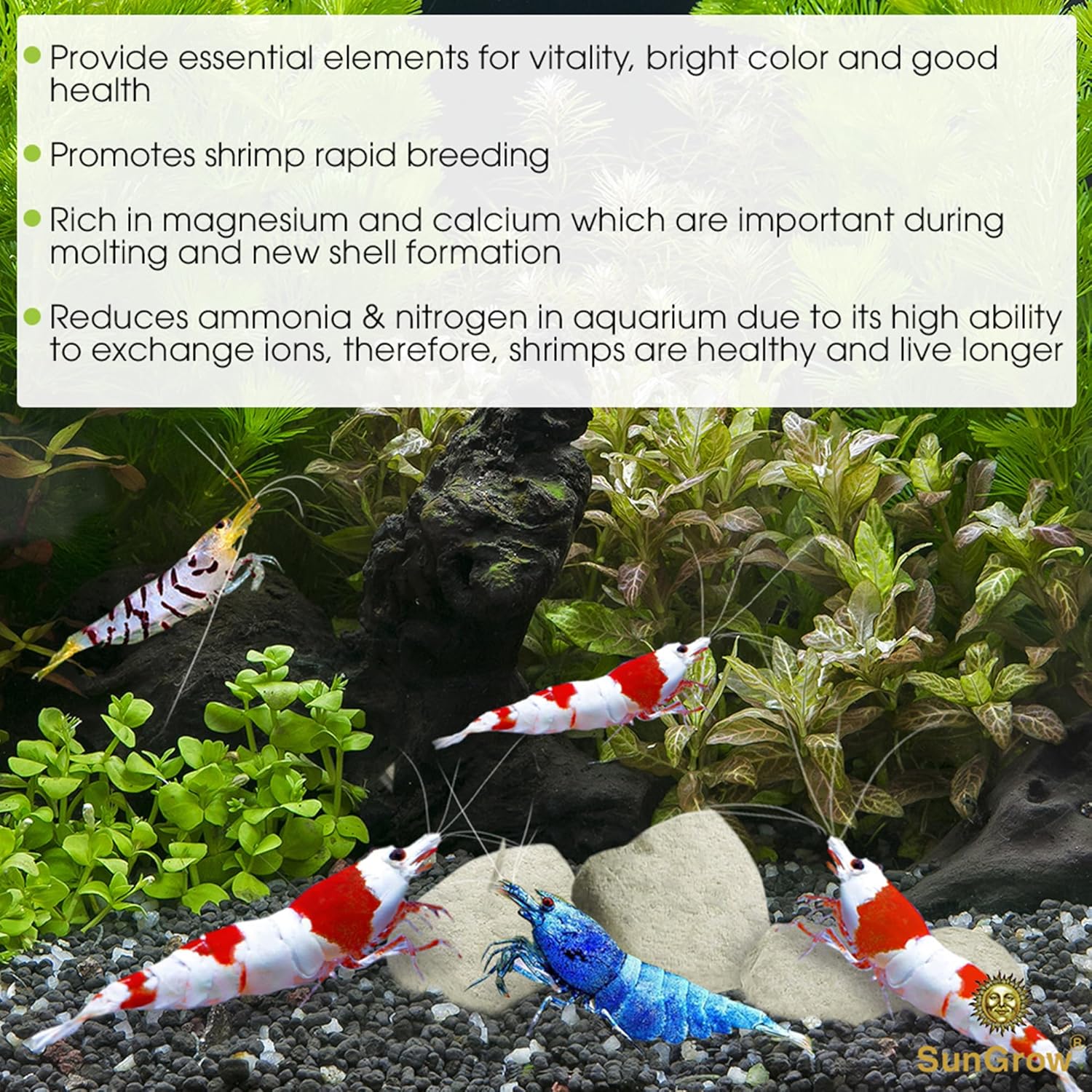 SunGrow Shrimp Rocks, Calcium, Magnesium Rocks for Crayfish, Hermit Crab, Snails, Crustacean Care, Aquarium Decor for Crystal Red, Amano and Ghost Shrimps, Nano Tank Accessories, Fish Tank Supplies - Image 3