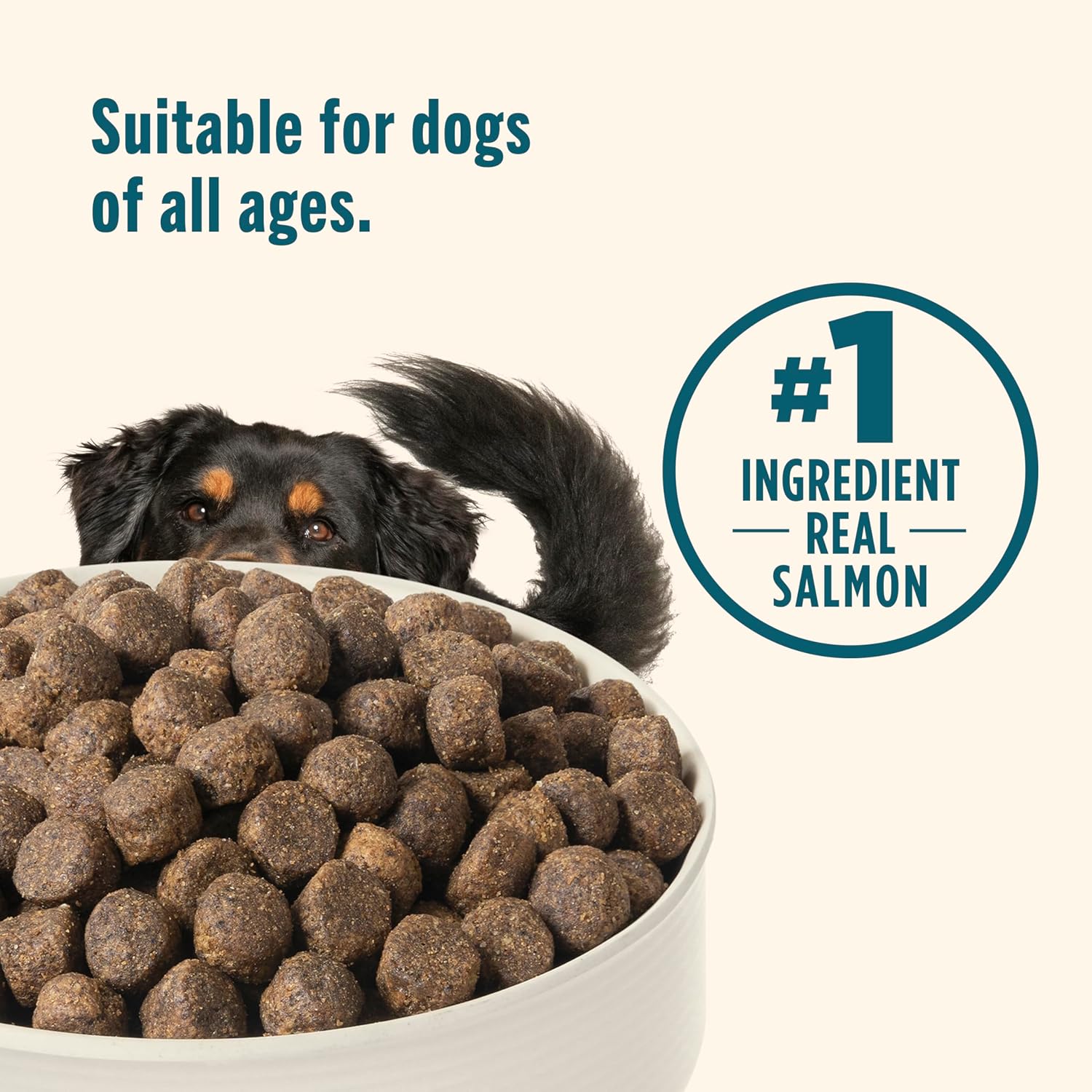 Nutrish Grain Free Dry Dog Food, Salmon & Sweet Potato Recipe, 23 lb. Bag (Rachael Ray) - Image 6
