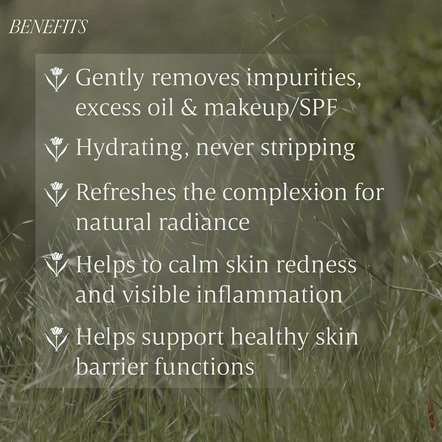 Verli Gentle Daily Cleanser | Hydrating Botanical Face Wash for Sensitive & Dry Skin | Non-Stripping Purifying Skincare for Daily Use | Clean Beauty, 3.38 fl oz - Image 5