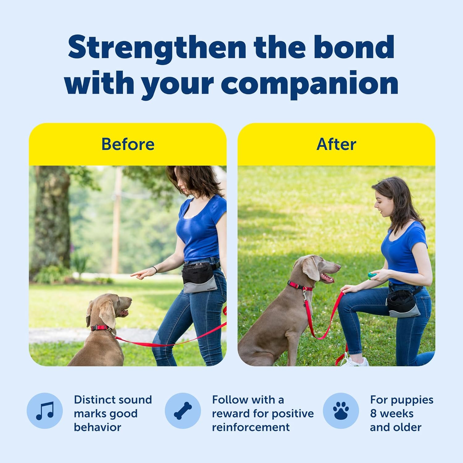 PetSafe Clik-R Training Tool for Pets - Includes Comfortable Finger Strap - Easy to Hold - Train Your Dog to Reward Good Behavior - Image 3