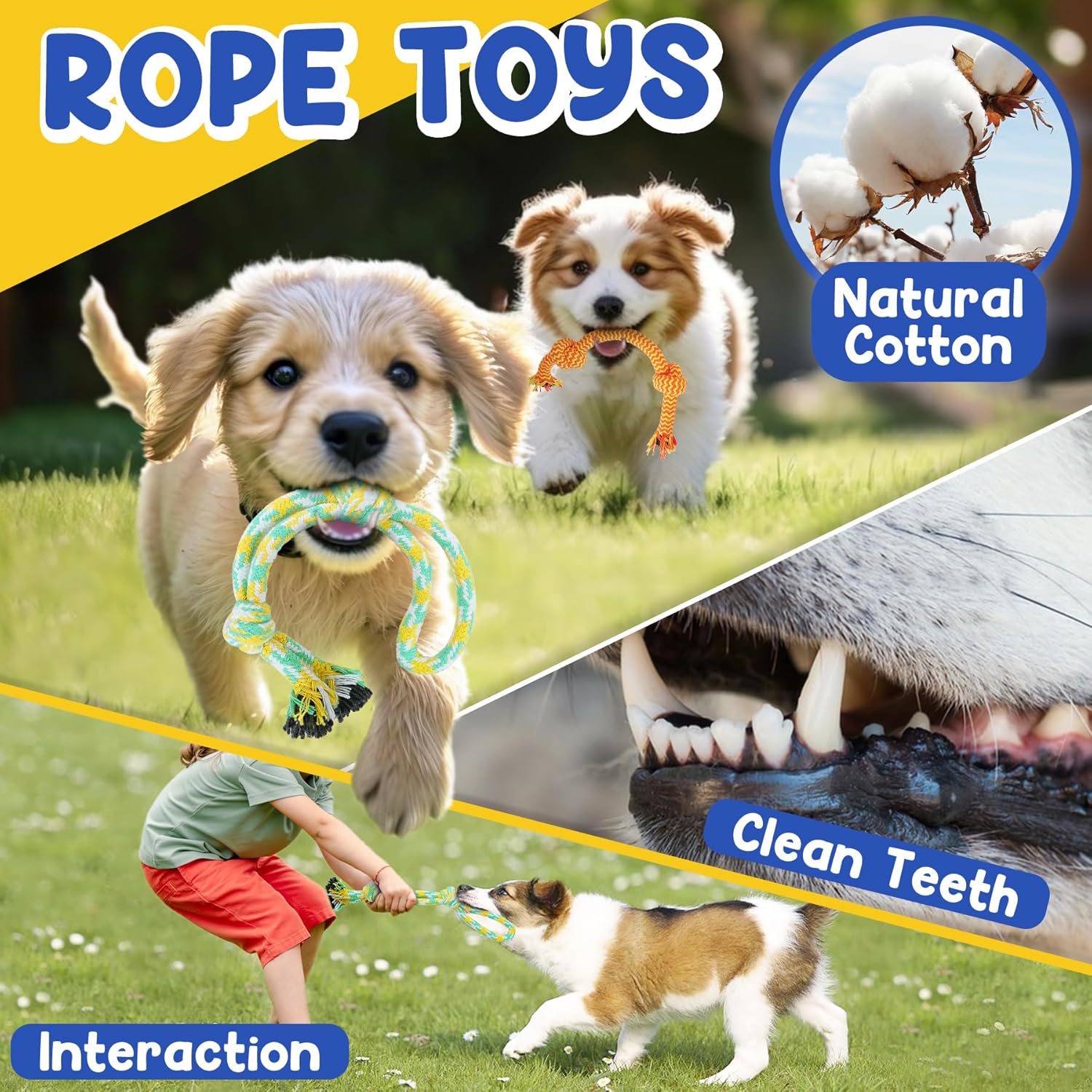 Puppy Toys for Teething, 9 Pack Interactive Dog Toys for Small Dogs, Puppy Chew Toys for Boredom with Rope Toys, Treat Ball and Cute Squeaky Toys - Image 4