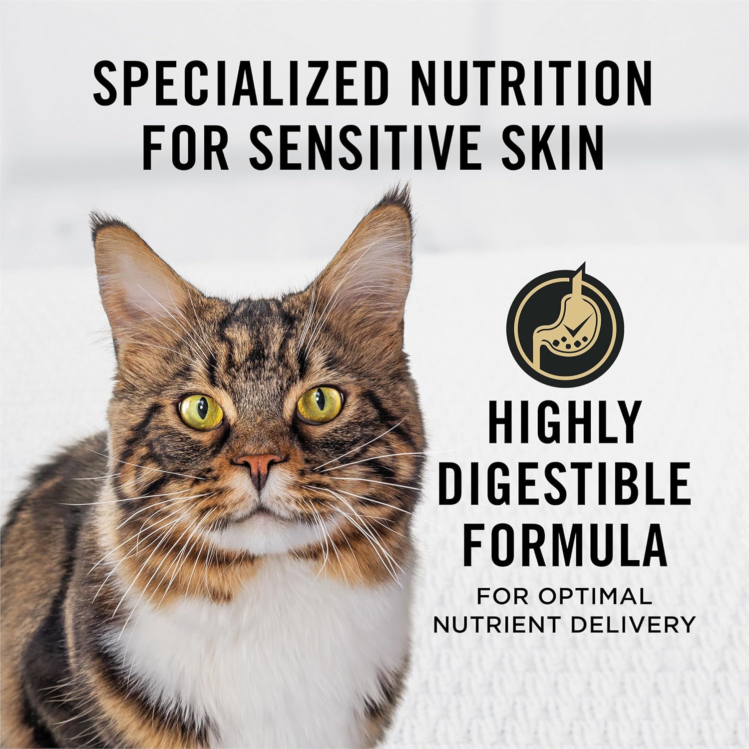 Purina Pro Plan Sensitive Skin and Stomach Cat Food, Lamb and Rice Formula - 7 lb. Bag - Image 3
