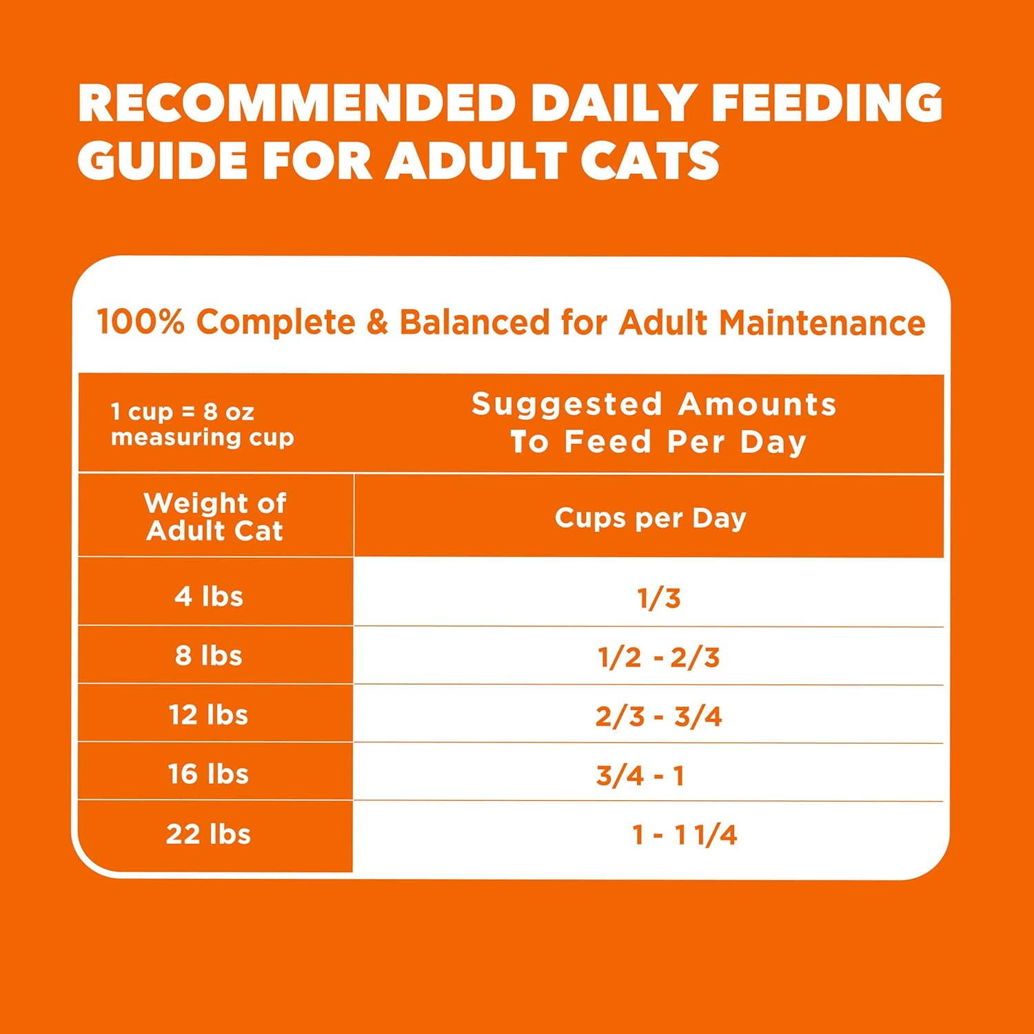IAMS Proactive Health Dry Cat Food, Healthy Cat Food Dry Recipe for Adults, with Chicken 16 lb. Bag - Image 9