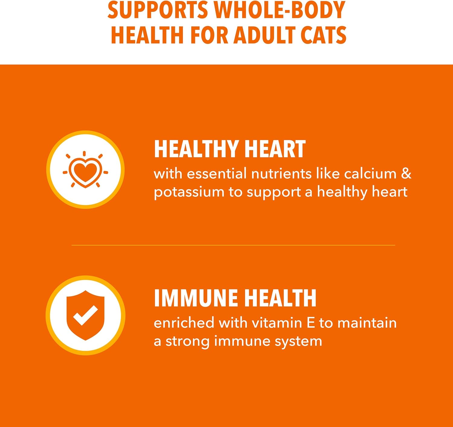 IAMS Proactive Health Dry Cat Food, Healthy Cat Food Dry Recipe for Adults, with Chicken 16 lb. Bag - Image 4