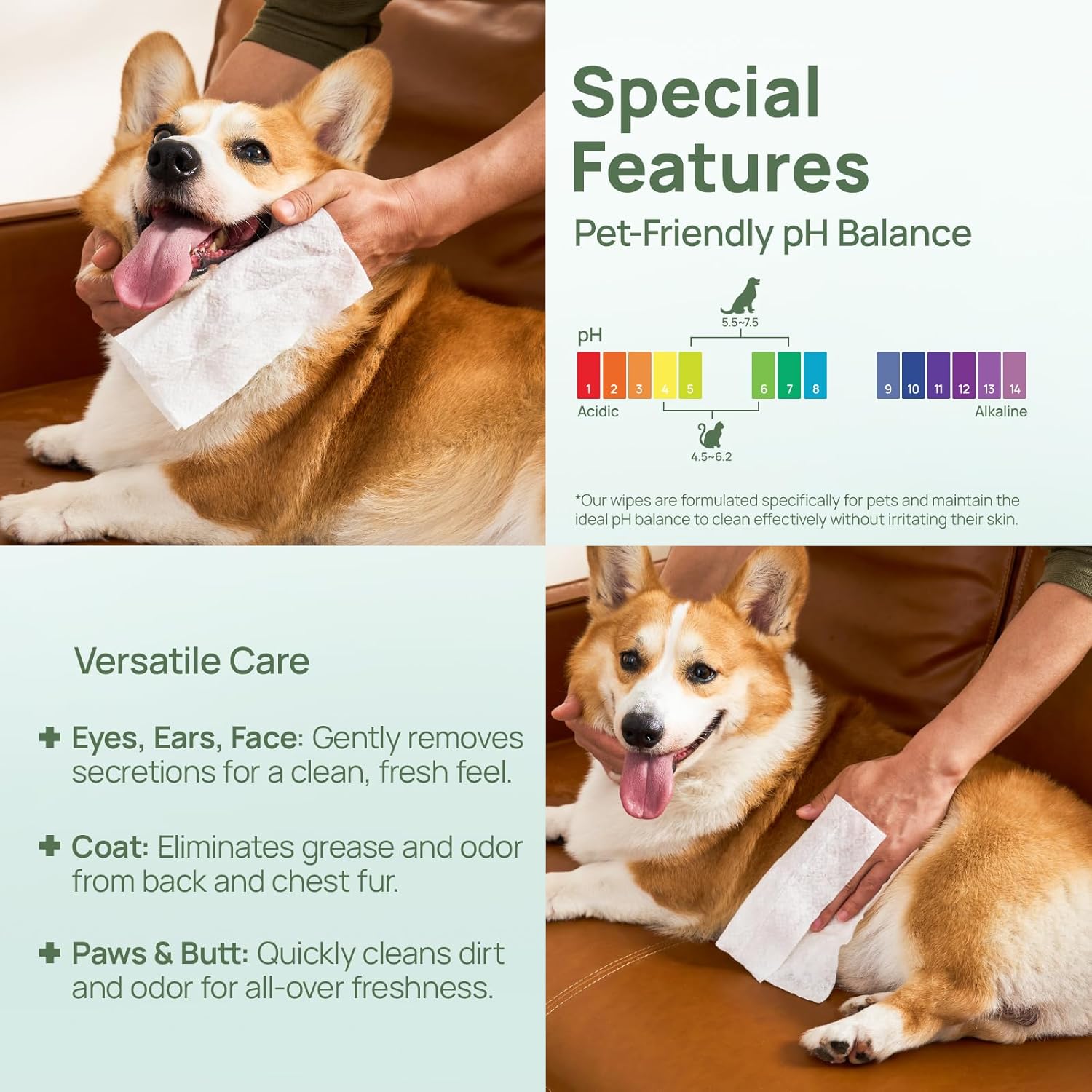 HICC PET Wipes for Dogs & Cats, Cleansing Deodorizing & Soothing Allergy Infections Anal Gland Pets Wipes with Coconut Oil - Dog Grooming Wipes for Butt and Paw - Hypoallergenic & Vet Recommended - Image 6