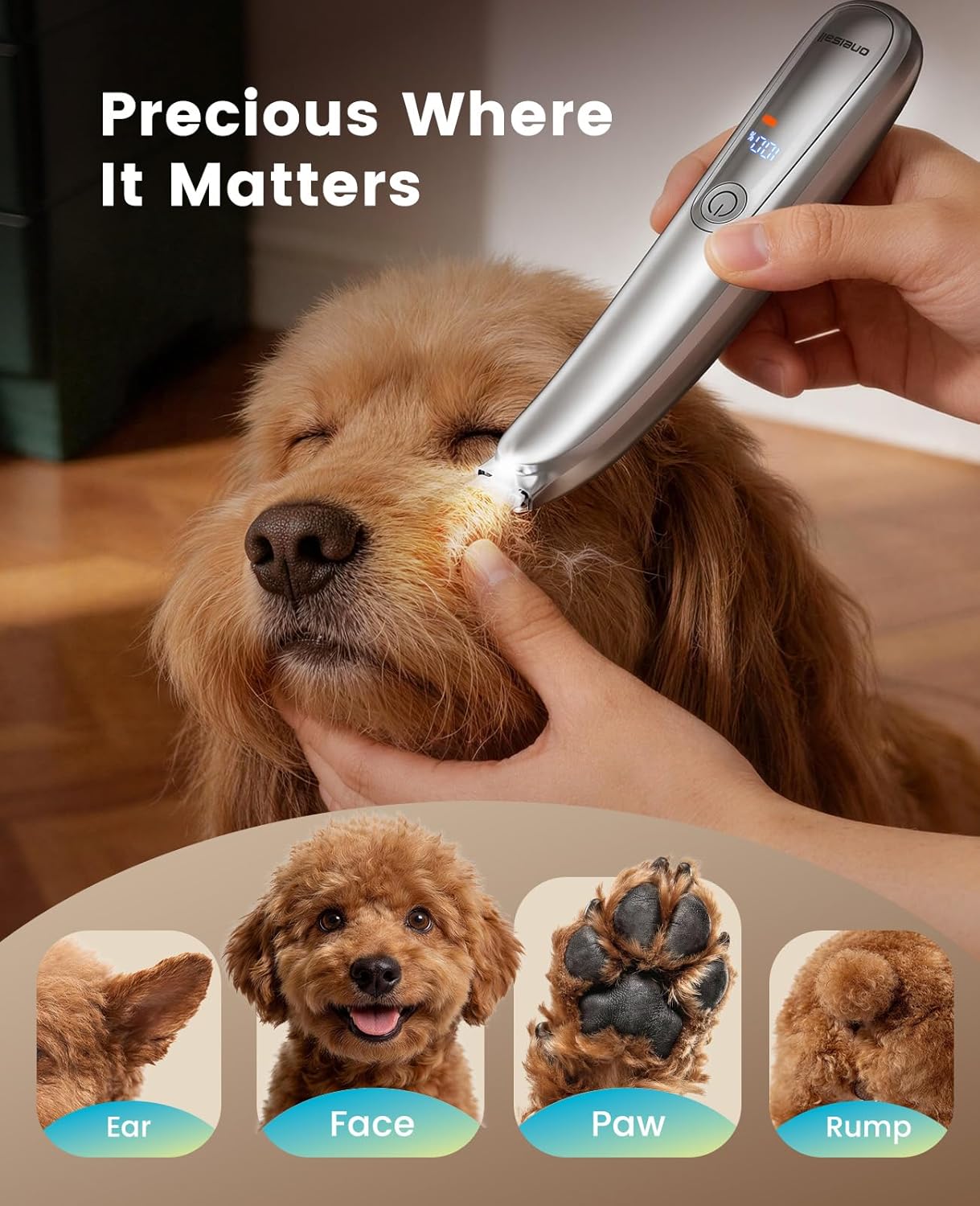 oneisall Dog Paw Trimmer, 2-Speed Up to 6500 RPM, 35dB Low-Noise Safe Pet Paw Trimmers with Curved Blade and LED Light, Cordless Pet Grooming Paw Clipper for Dogs, Cats, Paws, Ears, Face, Rump - Image 2