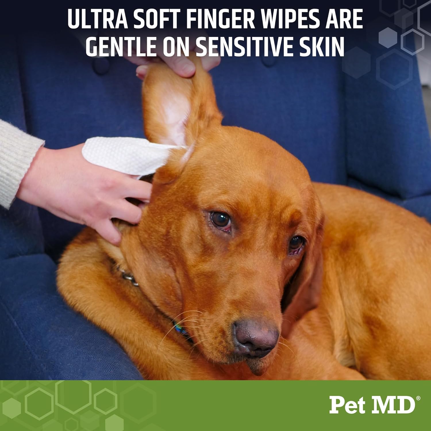Pet MD Dog Ear Cleaning Wipes – Otic Cleanser for Dogs, Soothing Ear Care with Aloe Vera & Eucalyptus, Finger Wipes, 50 Count - Image 4