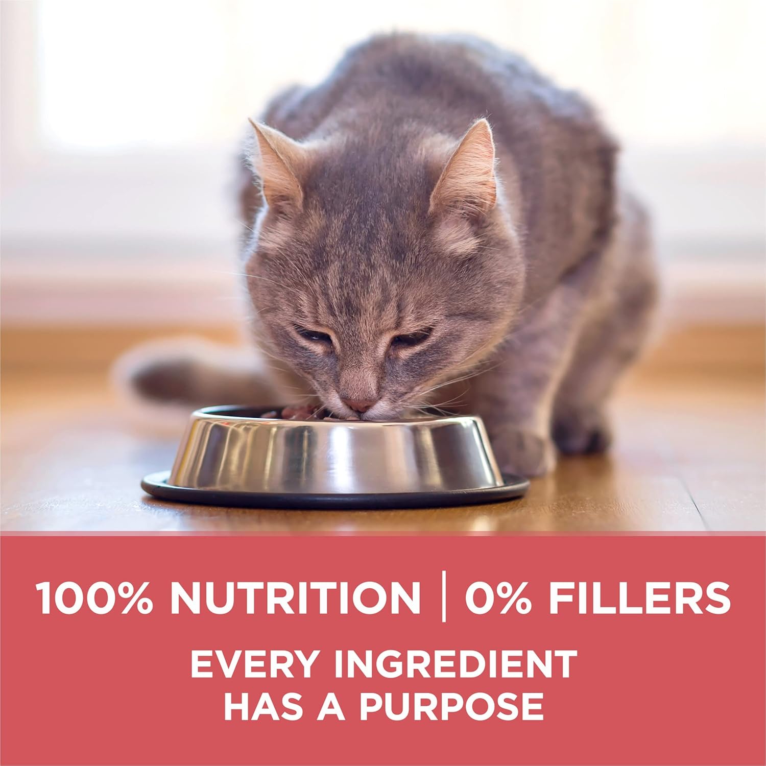 Purina ONE Natural Low Fat, Indoor Dry Weight Control High Protein Cat Food Plus Indoor Advantage With Real Salmon - 7 lb. Bag - Image 7