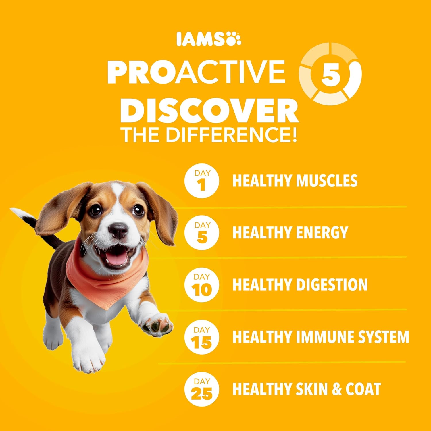 IAMS Proactive Health Puppy Food, Large Breed Premium Puppy Food for Large Dogs, 30.6 Lb. Bag - Image 2