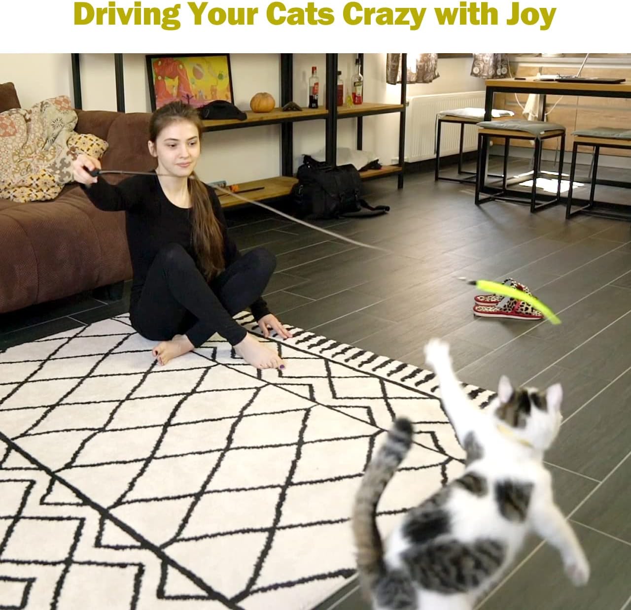 MeoHui Cat Toys for Indoor Cats, Interactive Cat Toy 2PCS Retractable Wand Toy and 9PCS Cat Feather Toys Refills, Funny Kitten Toys Cat Fishing Pole Toy for Bored Indoor Cats Chase and Exercise - Image 7
