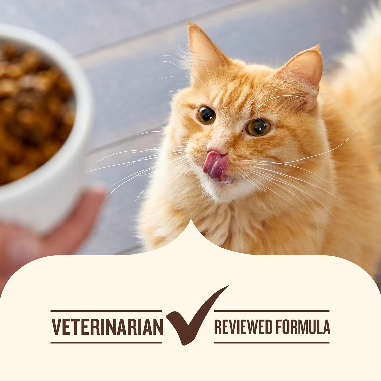 Nutrish Premium Natural Dry Cat Food, Real Chicken & Brown Rice Recipe, 14 Pounds (Packaging May Vary), (Rachael Ray Nutrish) - Image 7