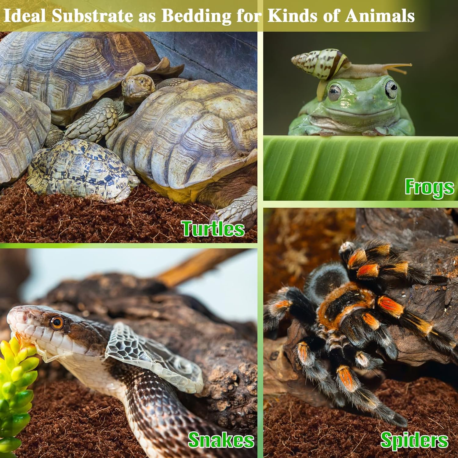 ZeeDix 4 Pack Coconut Fiber Substrate, 100% Organic Coconut Husk Coco Coir Brick Terrarium Bedding for Reptiles, Tortoise, Bearded Dragon, Leopard Gecko, Snake, Hermit Crabs, Frogs, Tarantula - Image 5