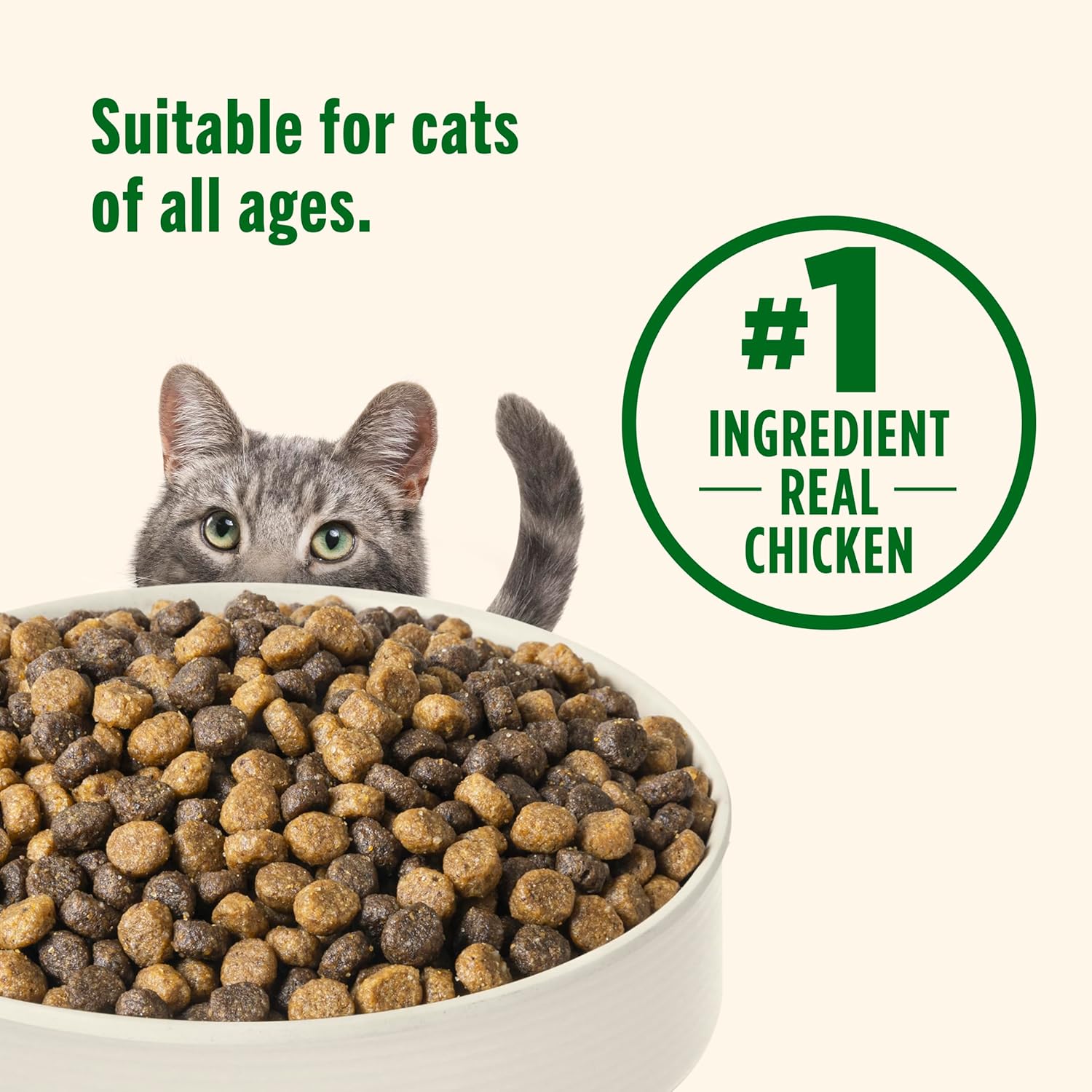 Nutrish Premium Natural Dry Cat Food, Real Chicken & Brown Rice Recipe, 14 Pounds (Packaging May Vary), (Rachael Ray Nutrish) - Image 6