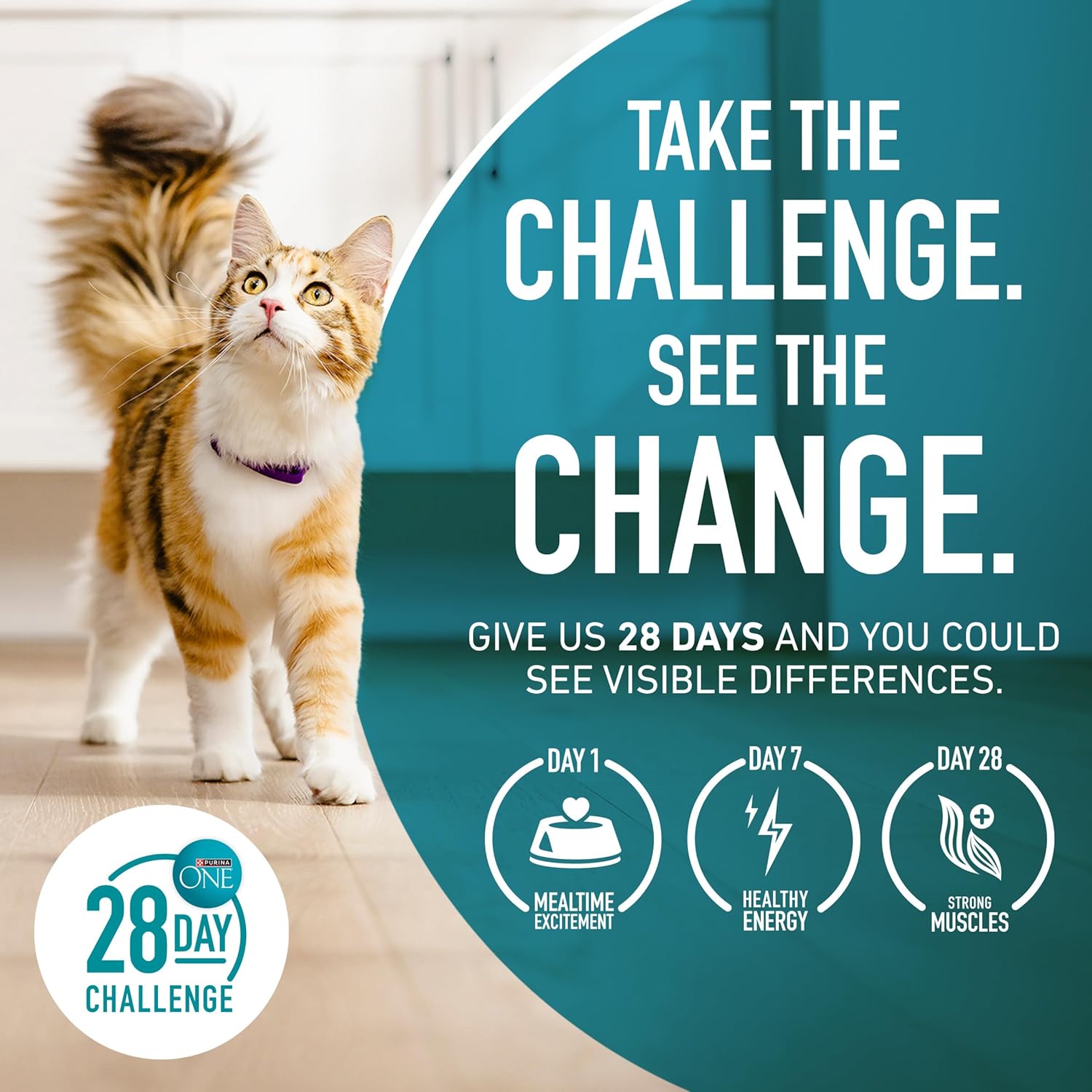 Purina ONE Natural Low Fat, Indoor Dry Weight Control High Protein Cat Food Plus Indoor Advantage With Real Salmon - 7 lb. Bag - Image 10