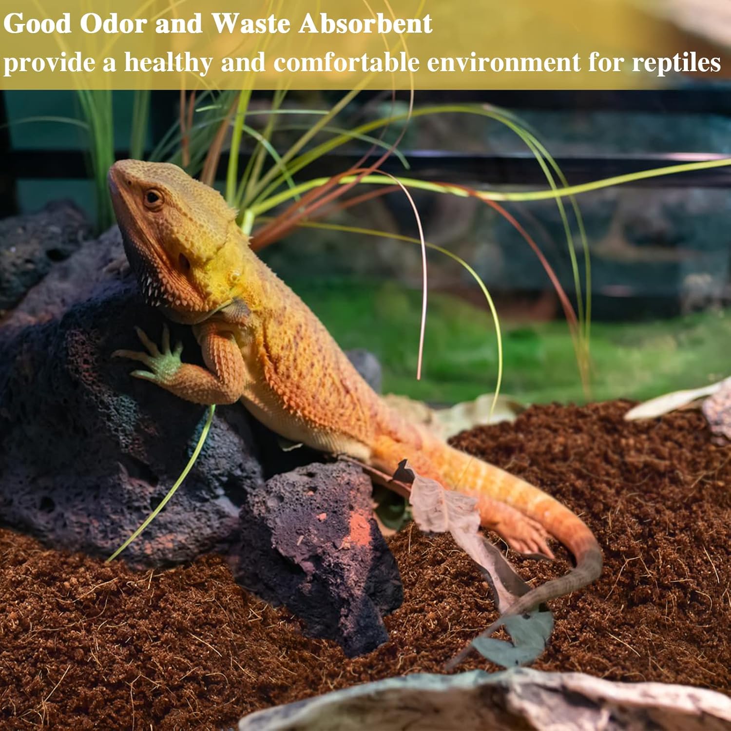 ZeeDix 4 Pack Coconut Fiber Substrate, 100% Organic Coconut Husk Coco Coir Brick Terrarium Bedding for Reptiles, Tortoise, Bearded Dragon, Leopard Gecko, Snake, Hermit Crabs, Frogs, Tarantula - Image 6