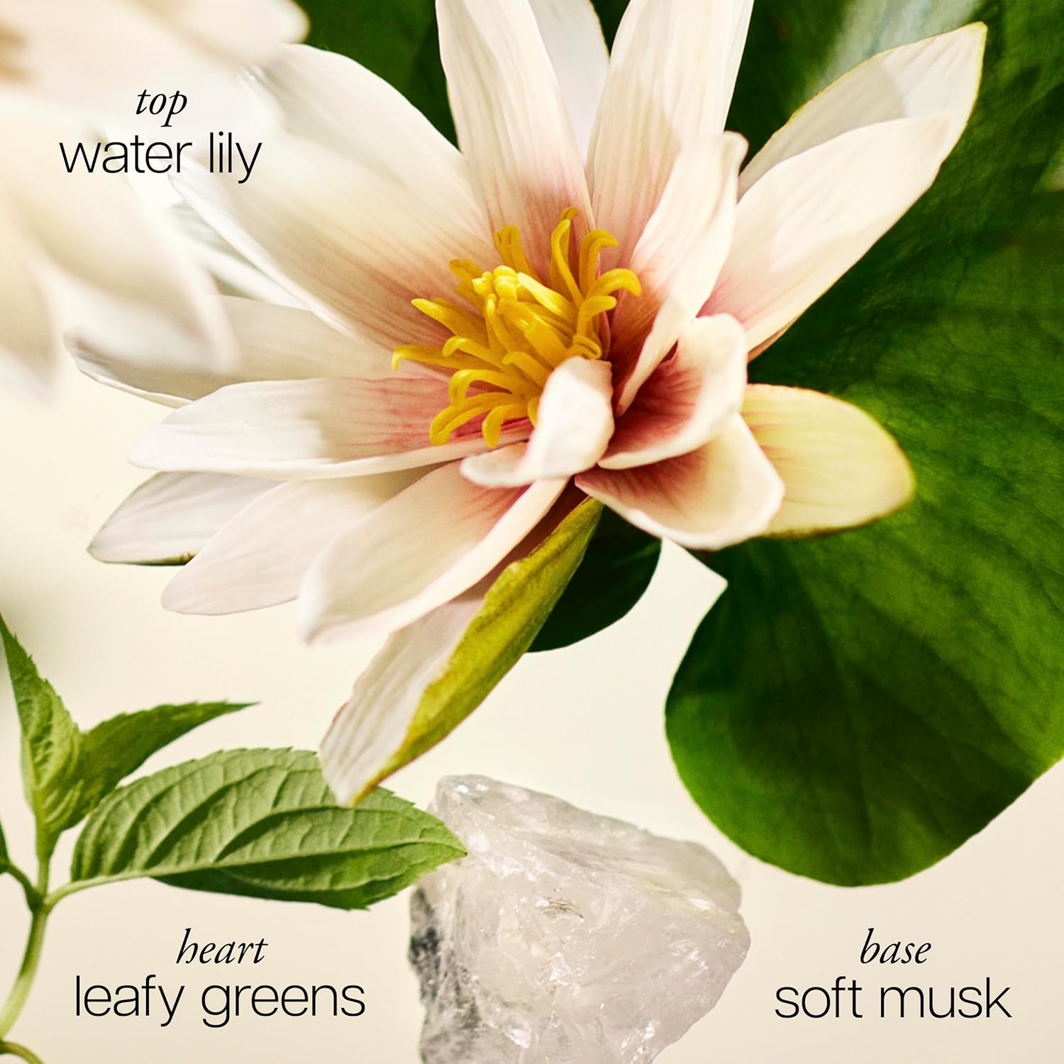 philosophy pure grace eau de parfum - crisp & clean women's perfume - with notes of water lily, leafy greens & musk - long lasting fragrance - 2 fl oz - Image 2