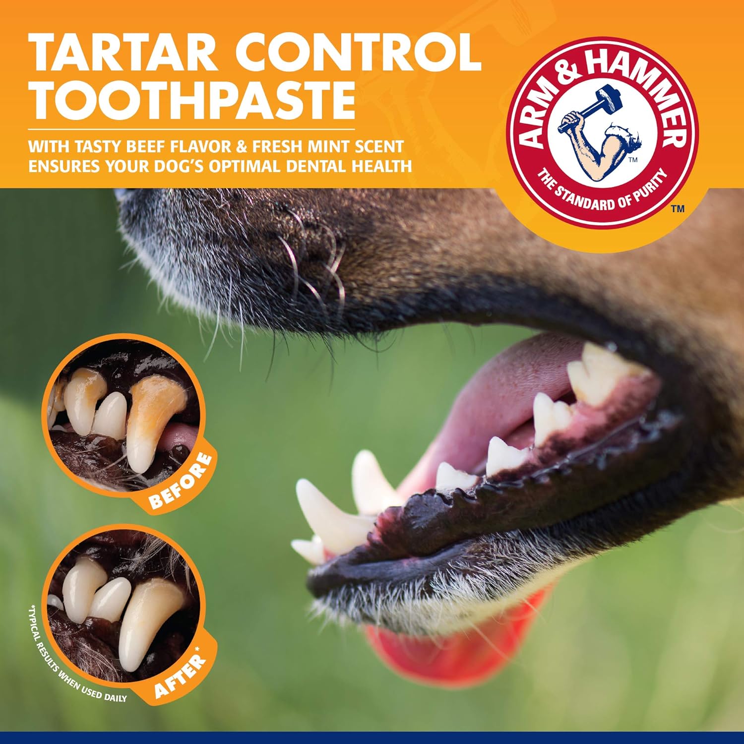 Arm & Hammer for Pets Tartar Control Dog Dental Kit, Enzymatic Toothpaste with Toothbrush and Fingerbrush, Baking Soda Formula Reduces Plaque and Tartar, Safe for Puppies, Beef Flavor, 3-Piece - Image 4