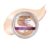 COVERGIRL Simply Ageless Instant Wrinkle Defying Foundation, SPF 28, Hyaluronic Complex & Vitamin C – 205 Ivory, Pack of 1