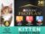 Purina Pro Plan High Protein Wet Kitten Food Variety Pack, DEVELOPMENT Kitten Favorites – (Pack of 24) 3 oz. Cans